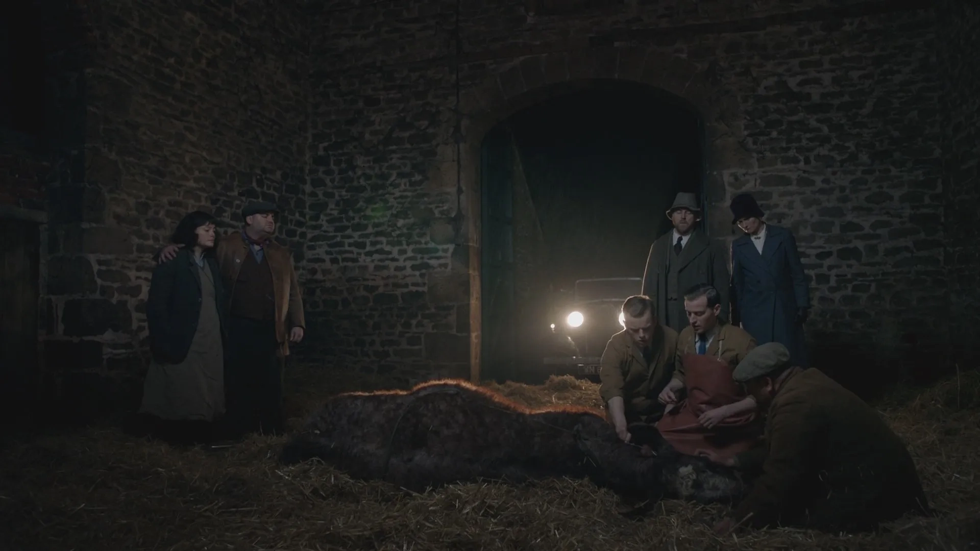 Anna Madeley, Samuel West, Nicholas Ralph, Roxanne Morgan, Alexis Platt, and Callum Woodhouse in All Creatures Great and Small (2020)