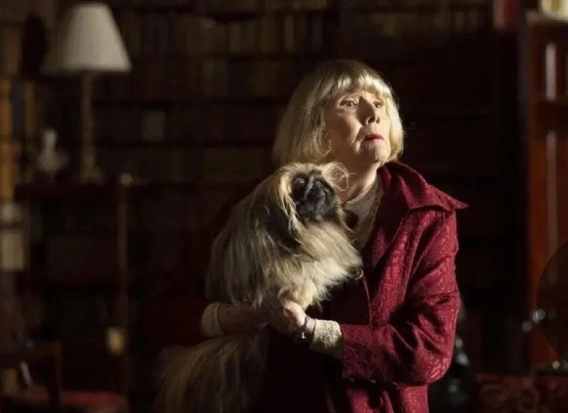 Diana Rigg and Derek in All Creatures Great and Small (2020)