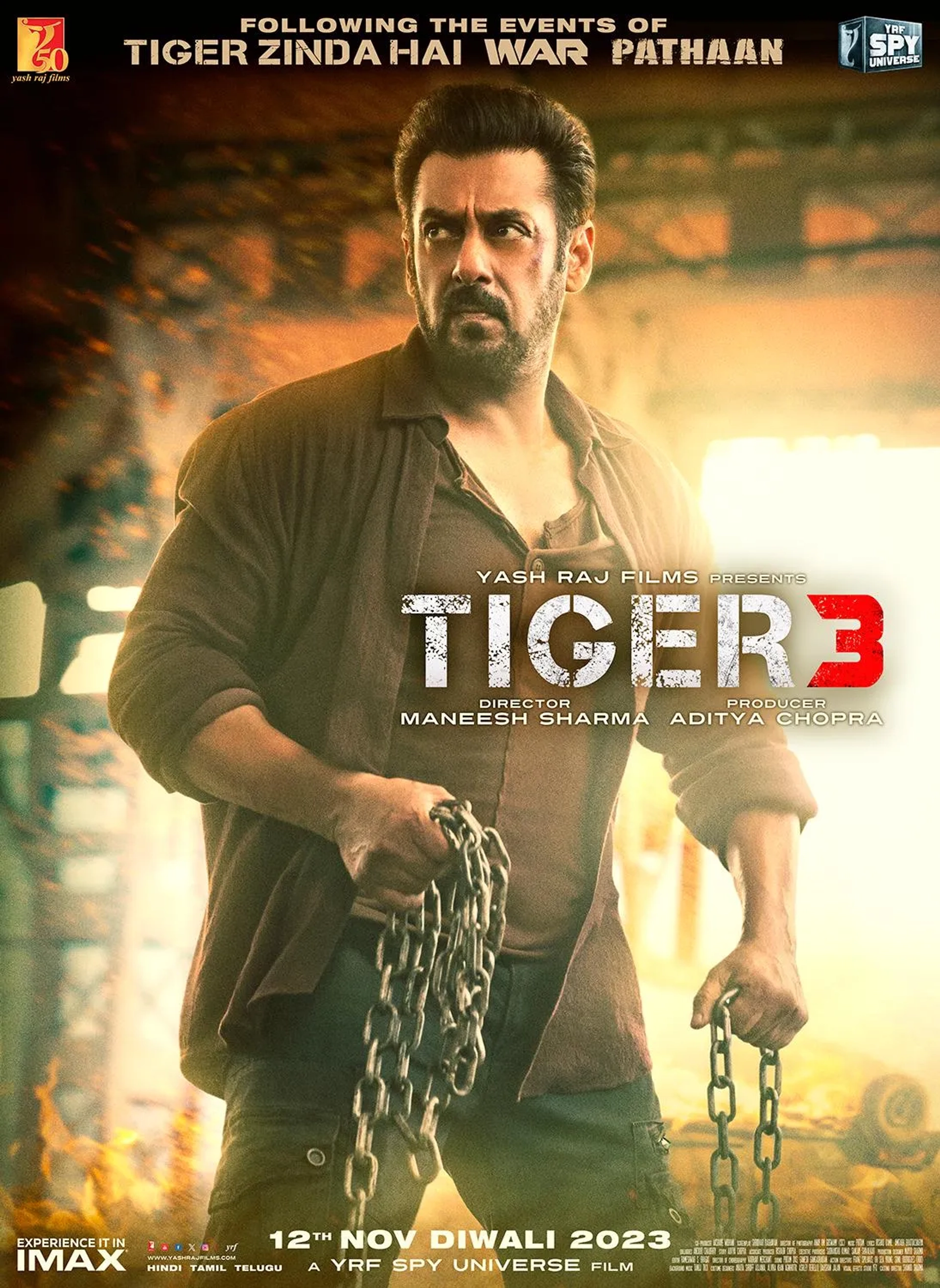 Salman Khan in Tiger 3 (2023)