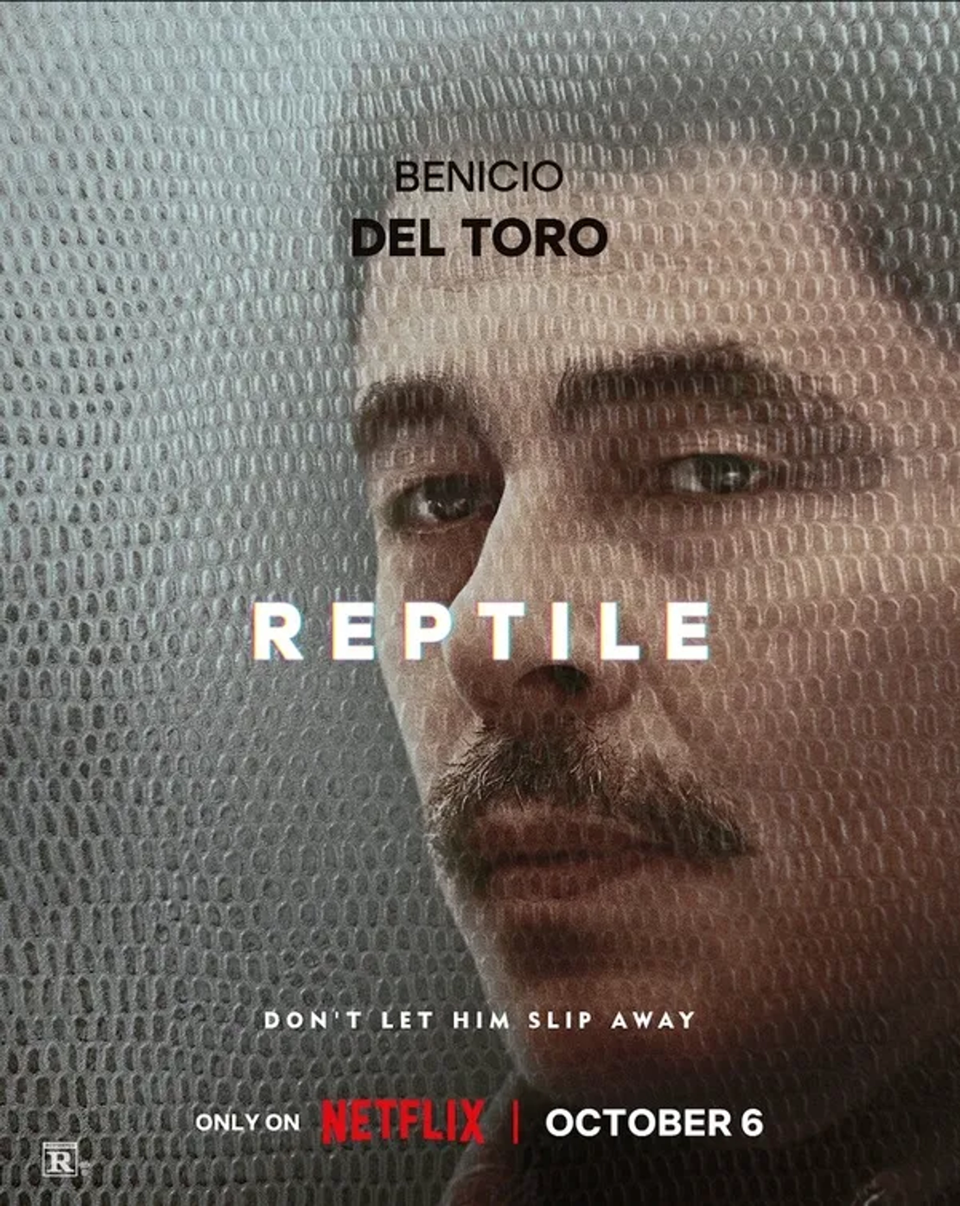 Benicio Del Toro in Reptile (2023)