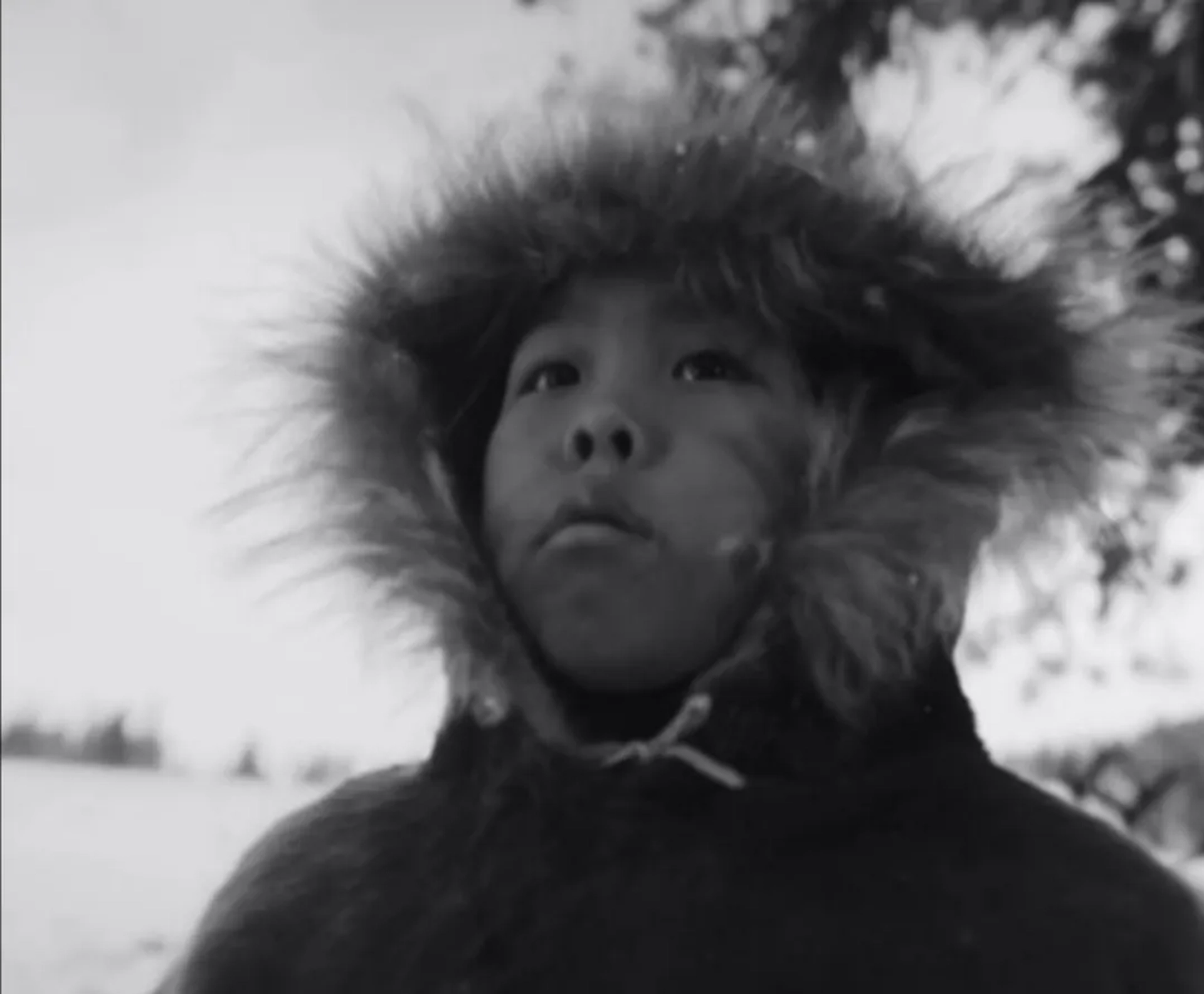 Timur Romanov in Dead Mountain (2020)