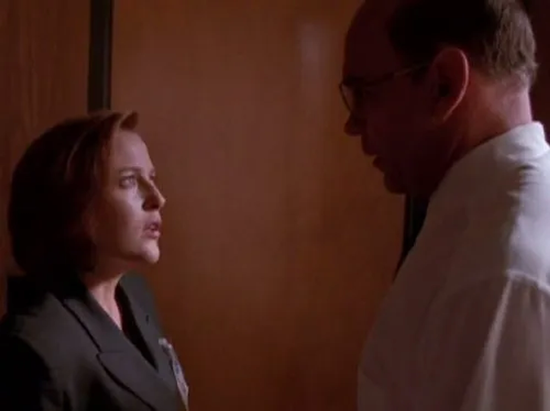 Gillian Anderson and Mitch Pileggi in The X-Files (1993)