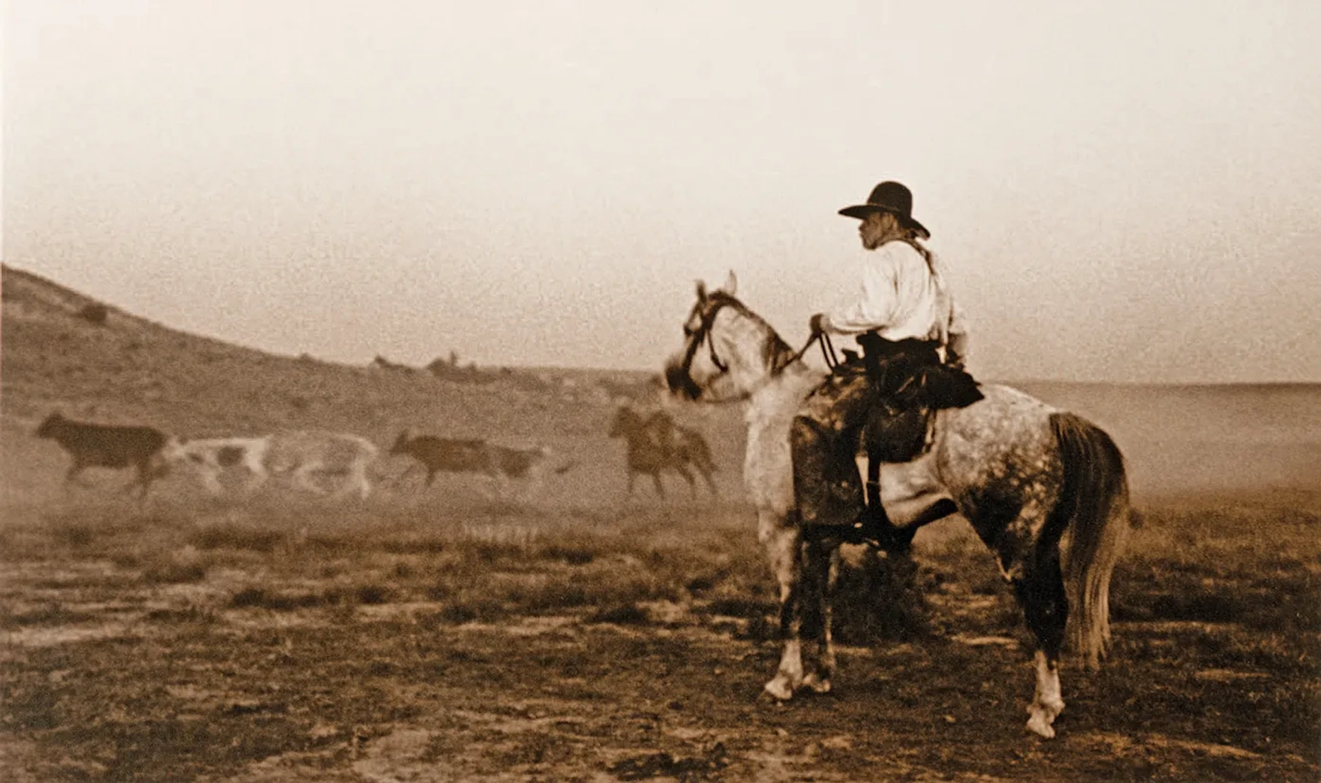 Tommy Lee Jones in Lonesome Dove (1989)