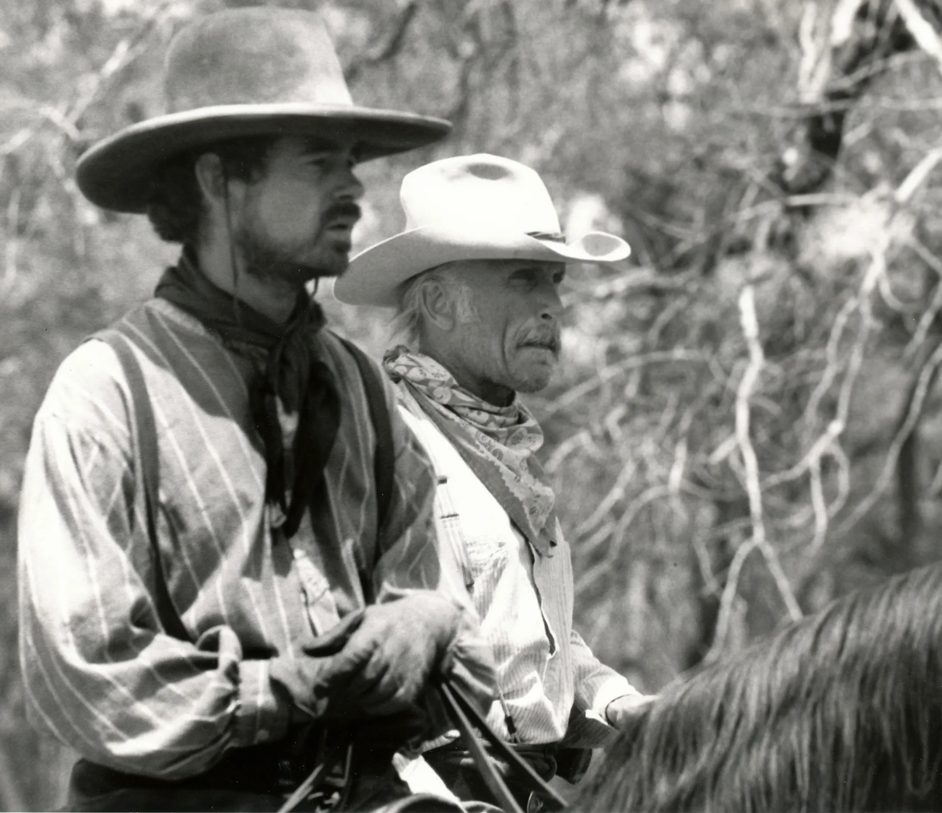 David Carpenter and Robert Duvall, Lonesome Dove