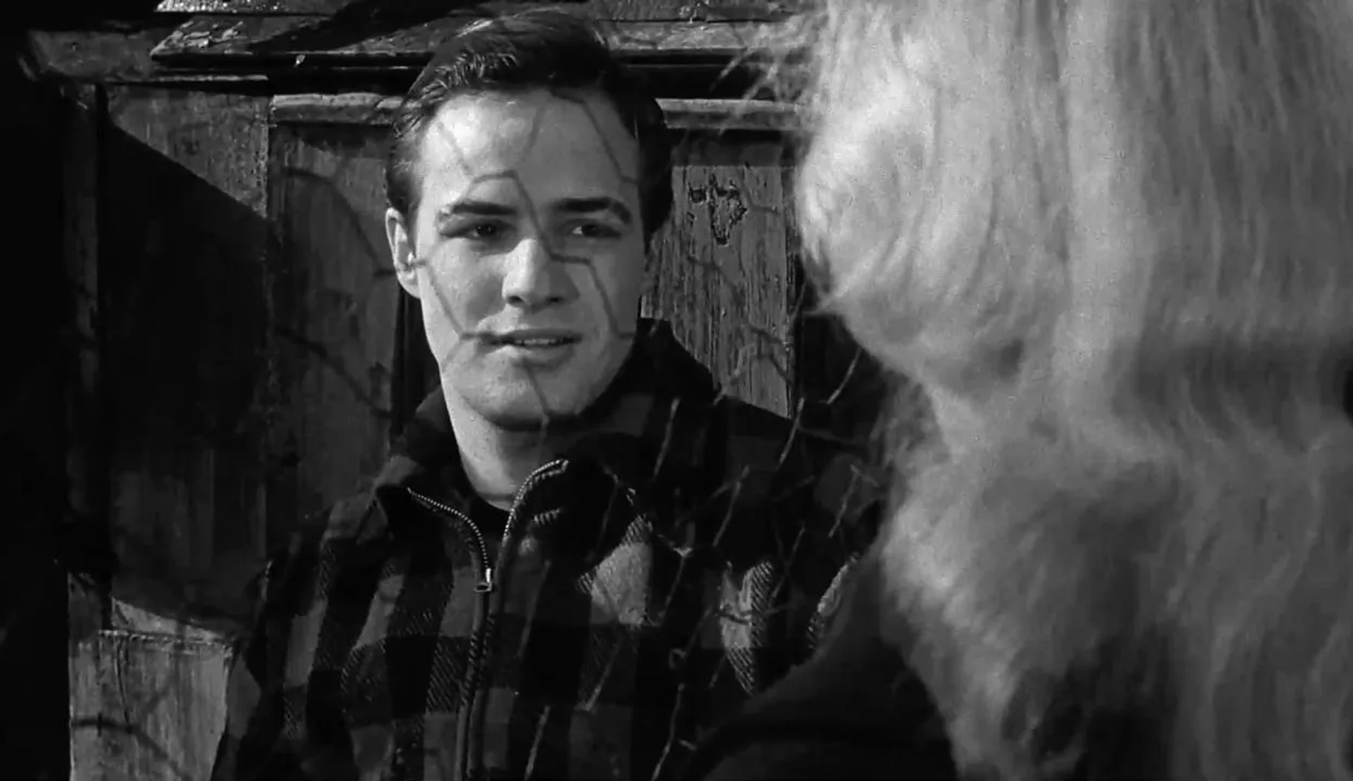 Marlon Brando and Eva Marie Saint in On the Waterfront (1954)