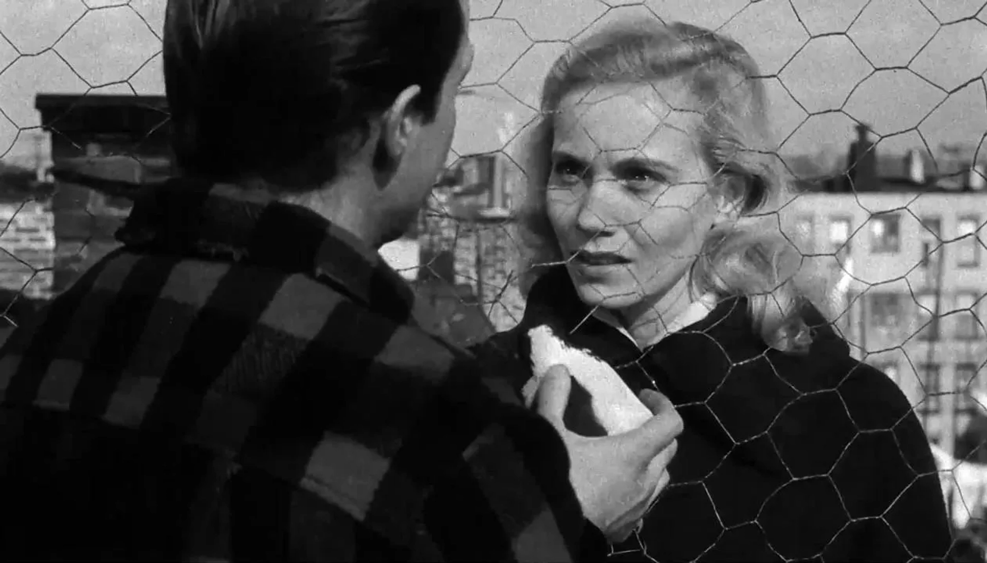 Marlon Brando and Eva Marie Saint in On the Waterfront (1954)