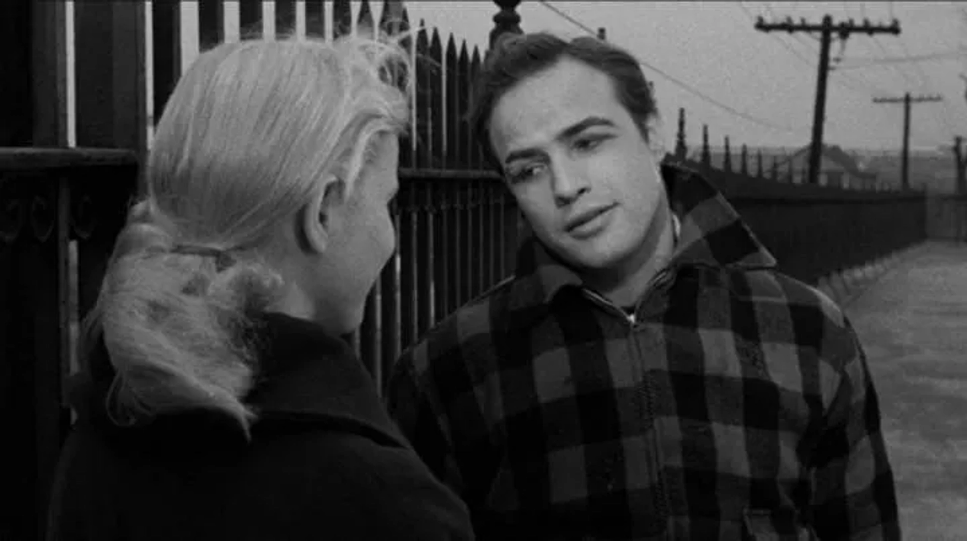 Marlon Brando and Eva Marie Saint in On the Waterfront (1954)