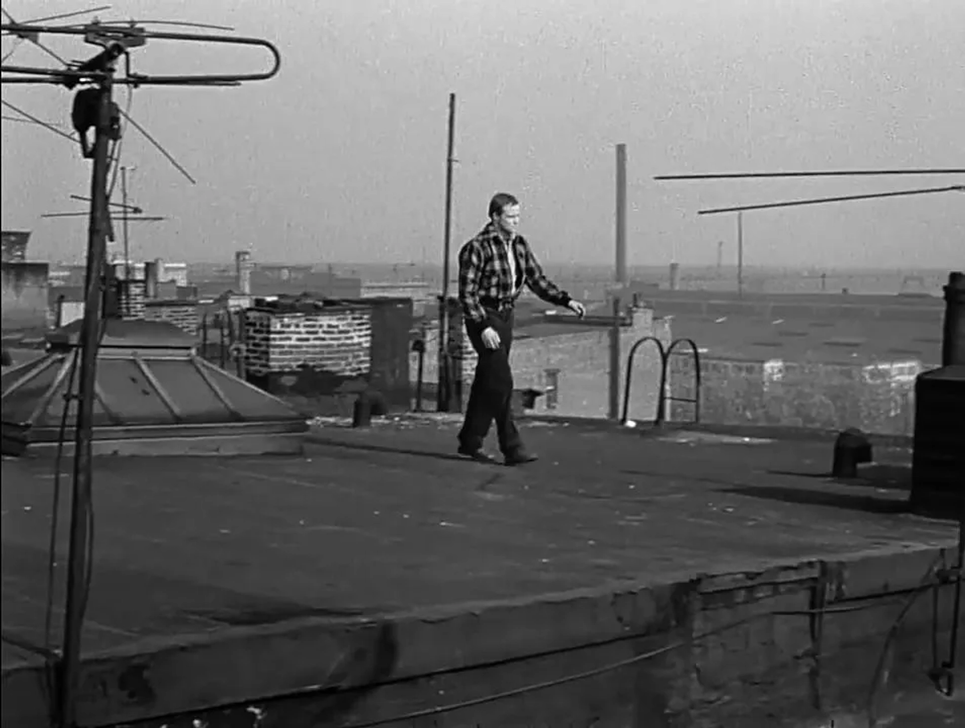 Marlon Brando in On the Waterfront (1954)