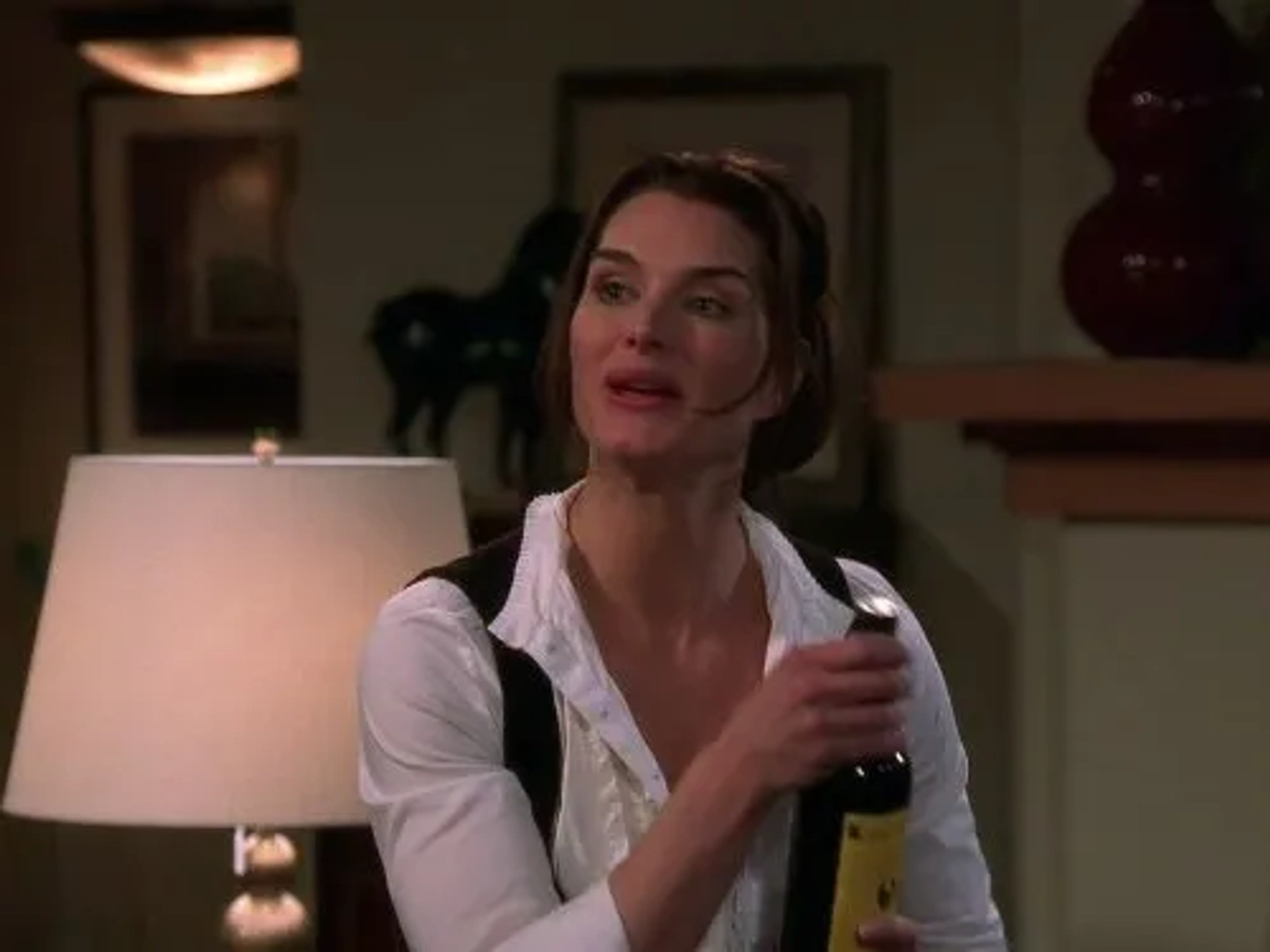 Brooke Shields in Two and a Half Men (2003)