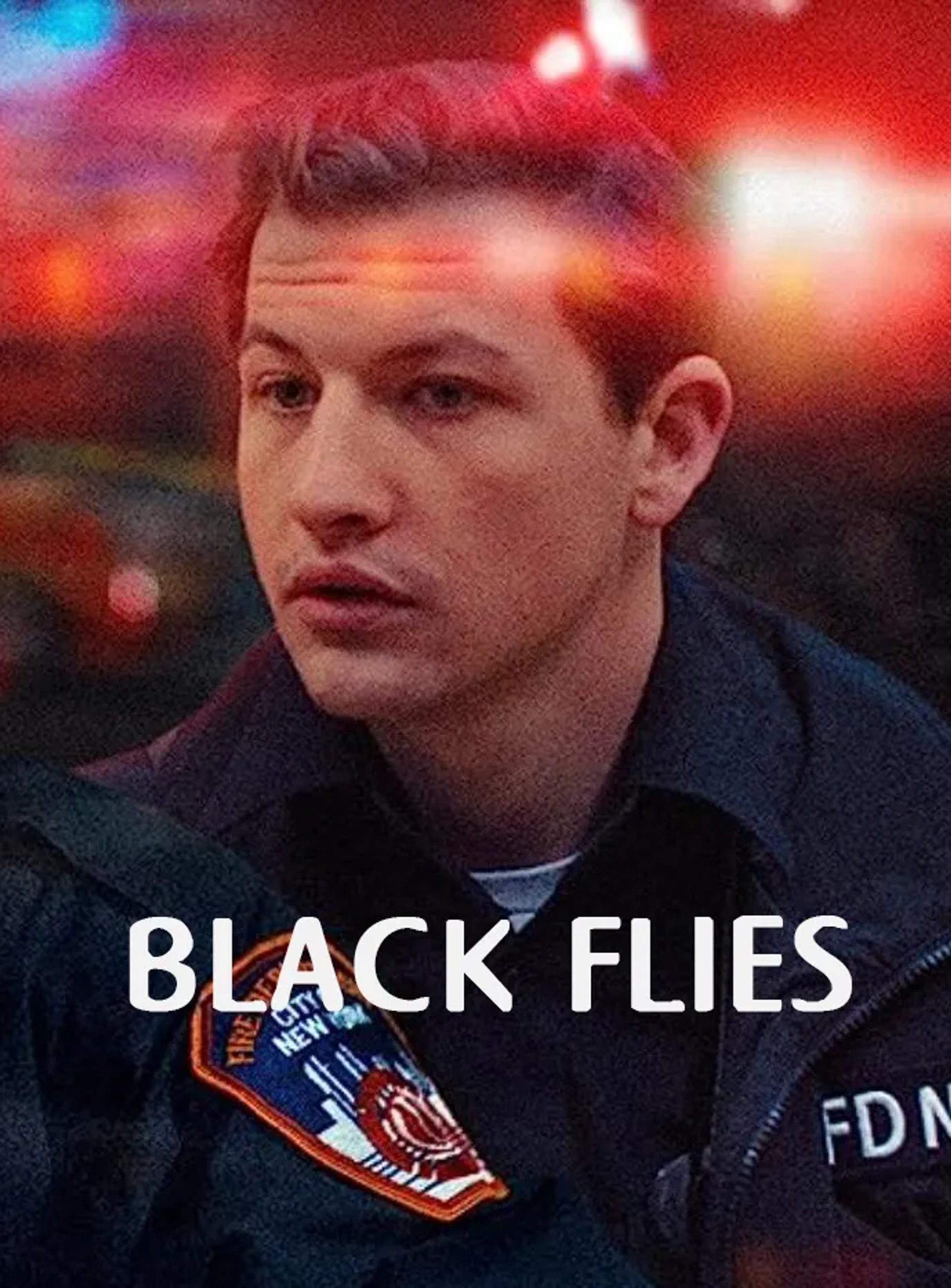 دانلود فیلم مگس‌ های سیاه (Black Flies 2023)