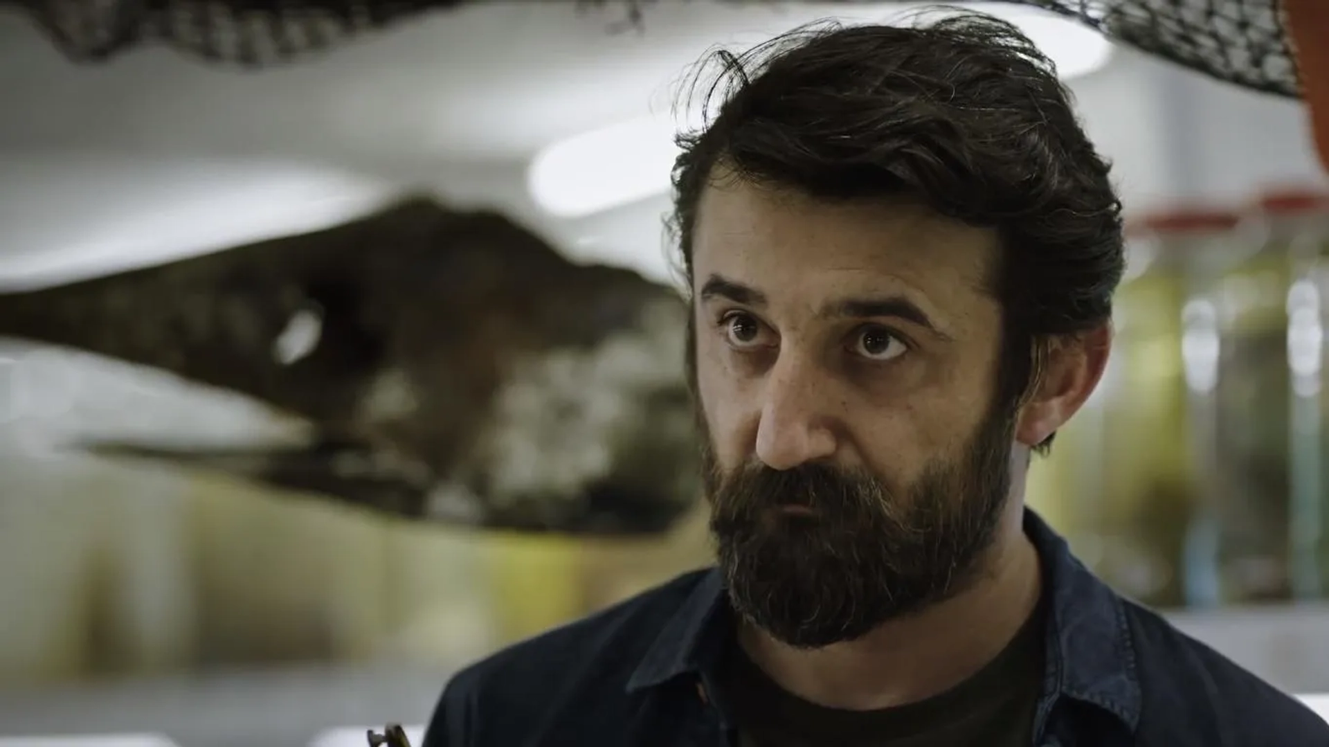 Necip Memili in Persona (2018)