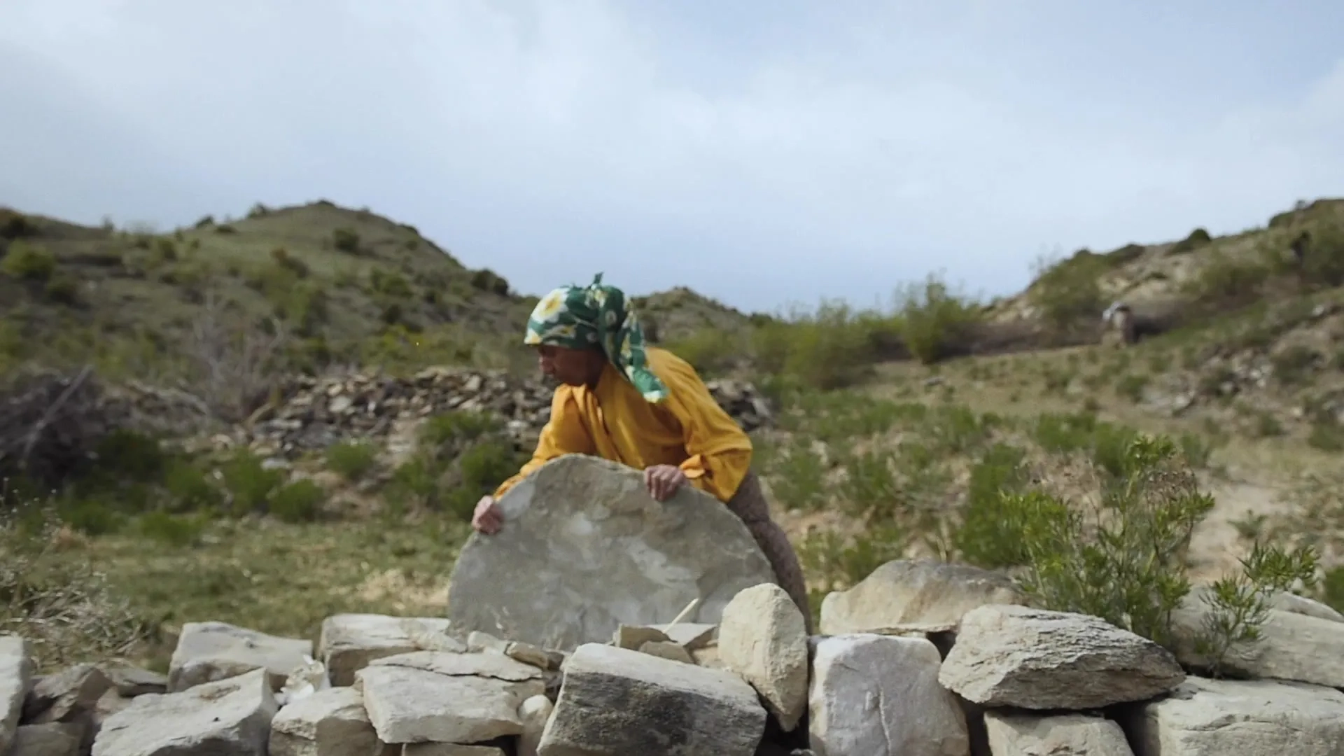 Hatidze Muratova in Honeyland (2019)