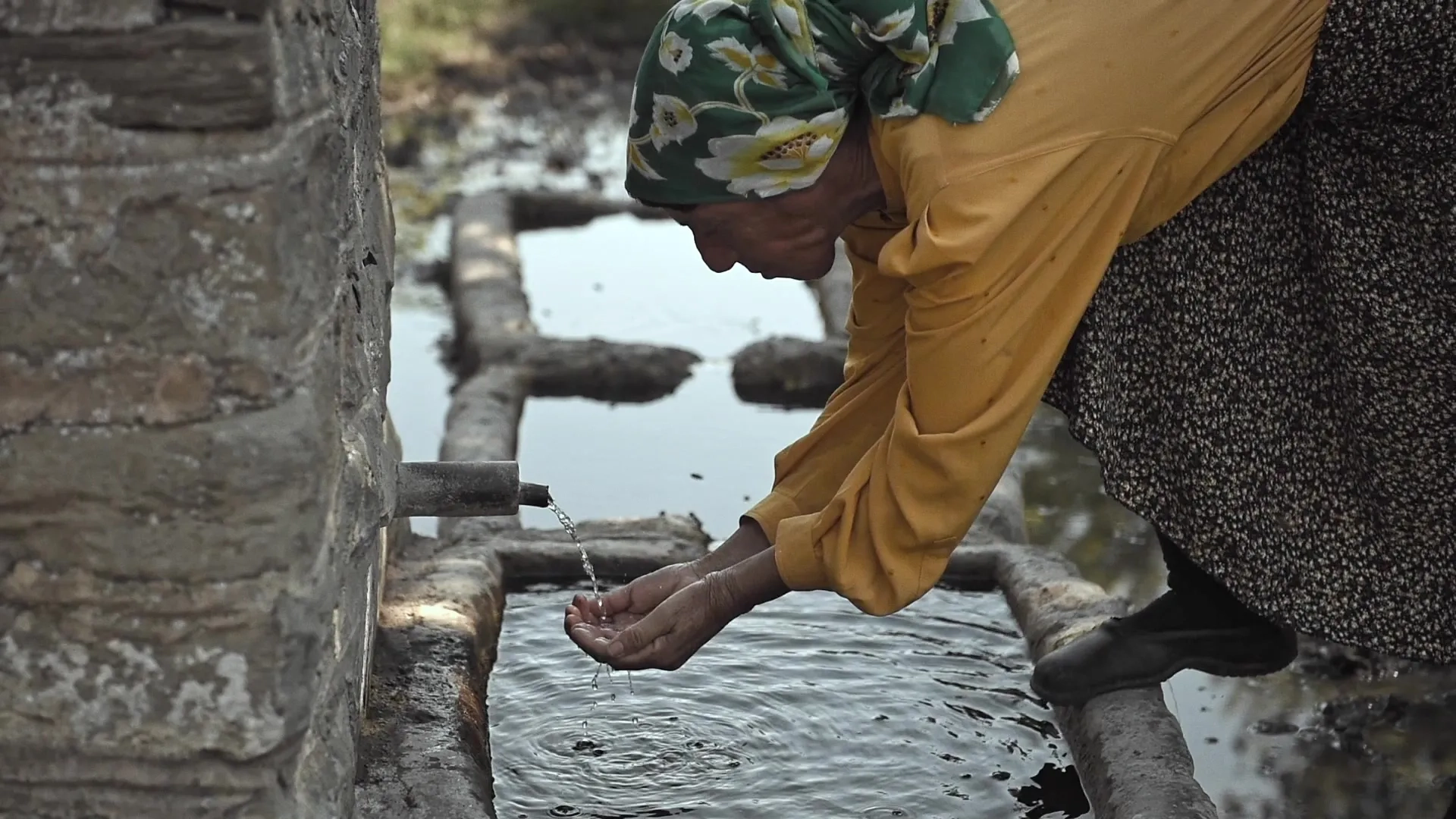 Hatidze Muratova in Honeyland (2019)