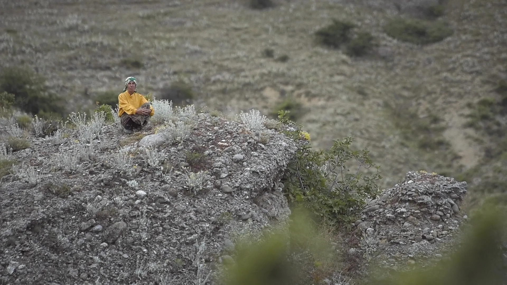 Hatidze Muratova in Honeyland (2019)