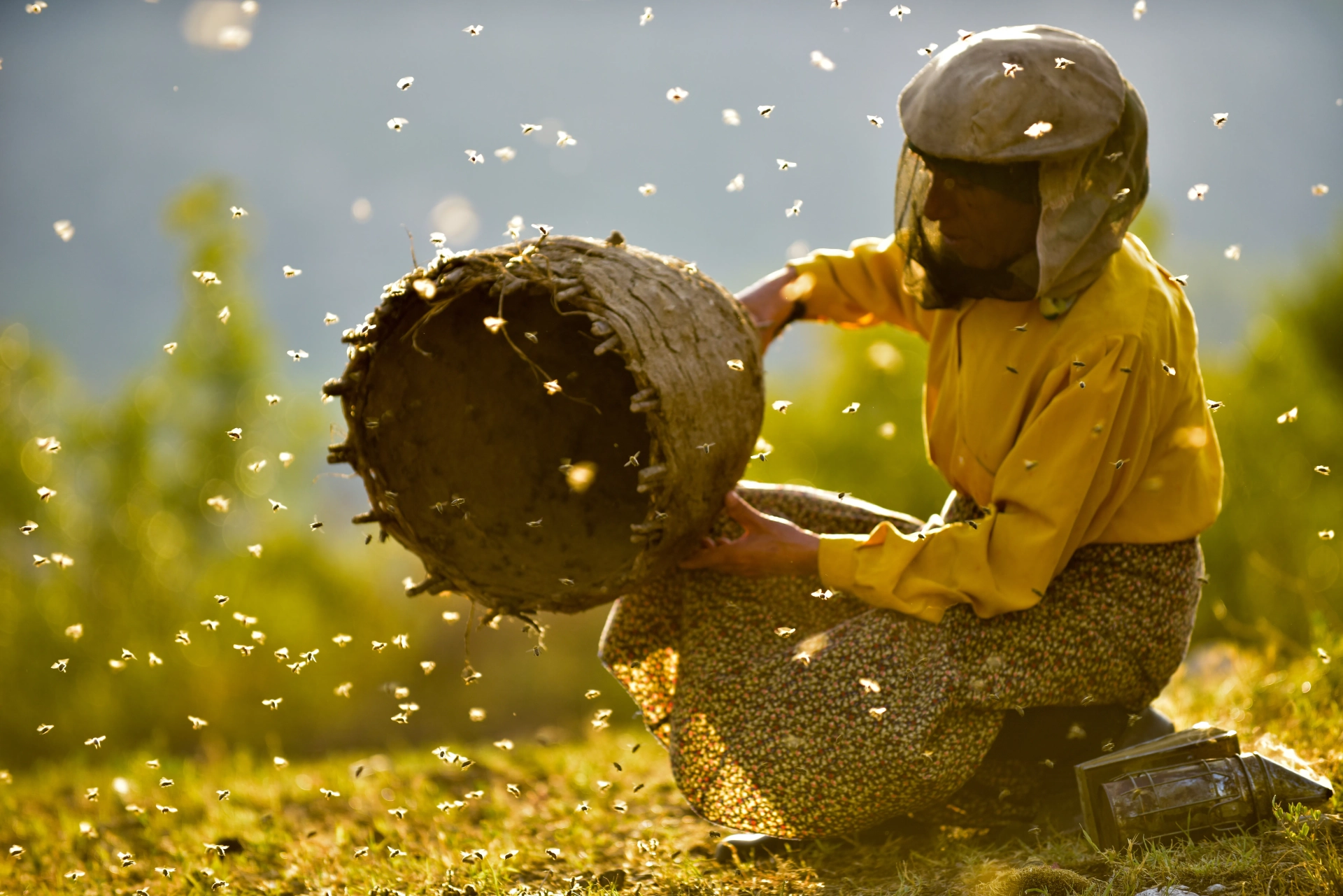 Hatidze Muratova in Honeyland (2019)