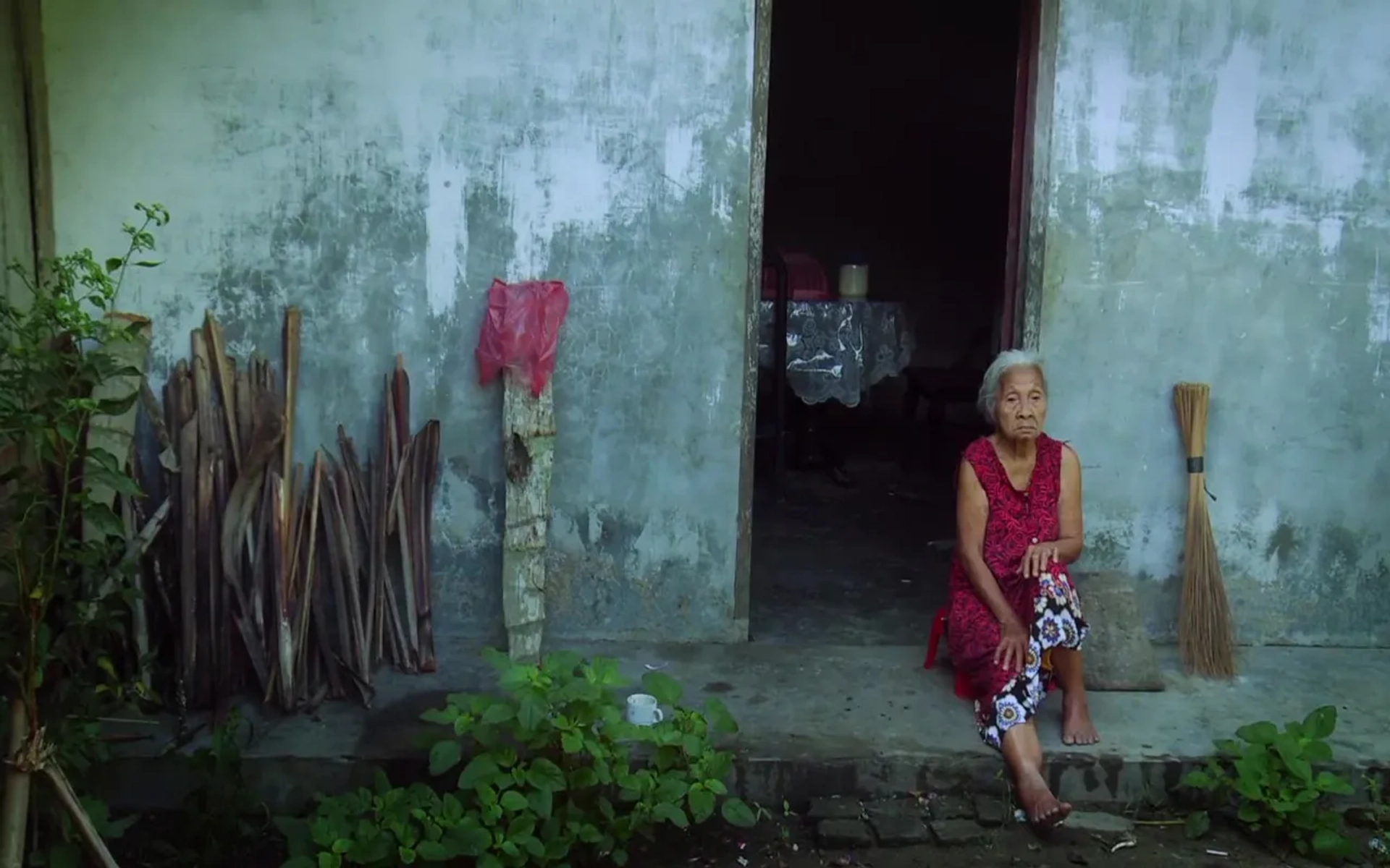 مستند چهره سکوت (The Look of Silence 2014)