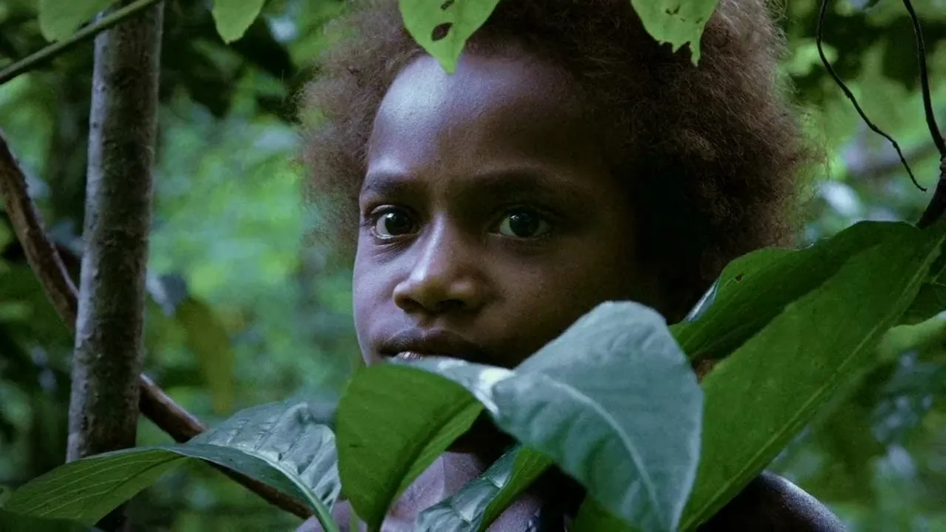 دانلود فیلم تانا (Tanna 2015)