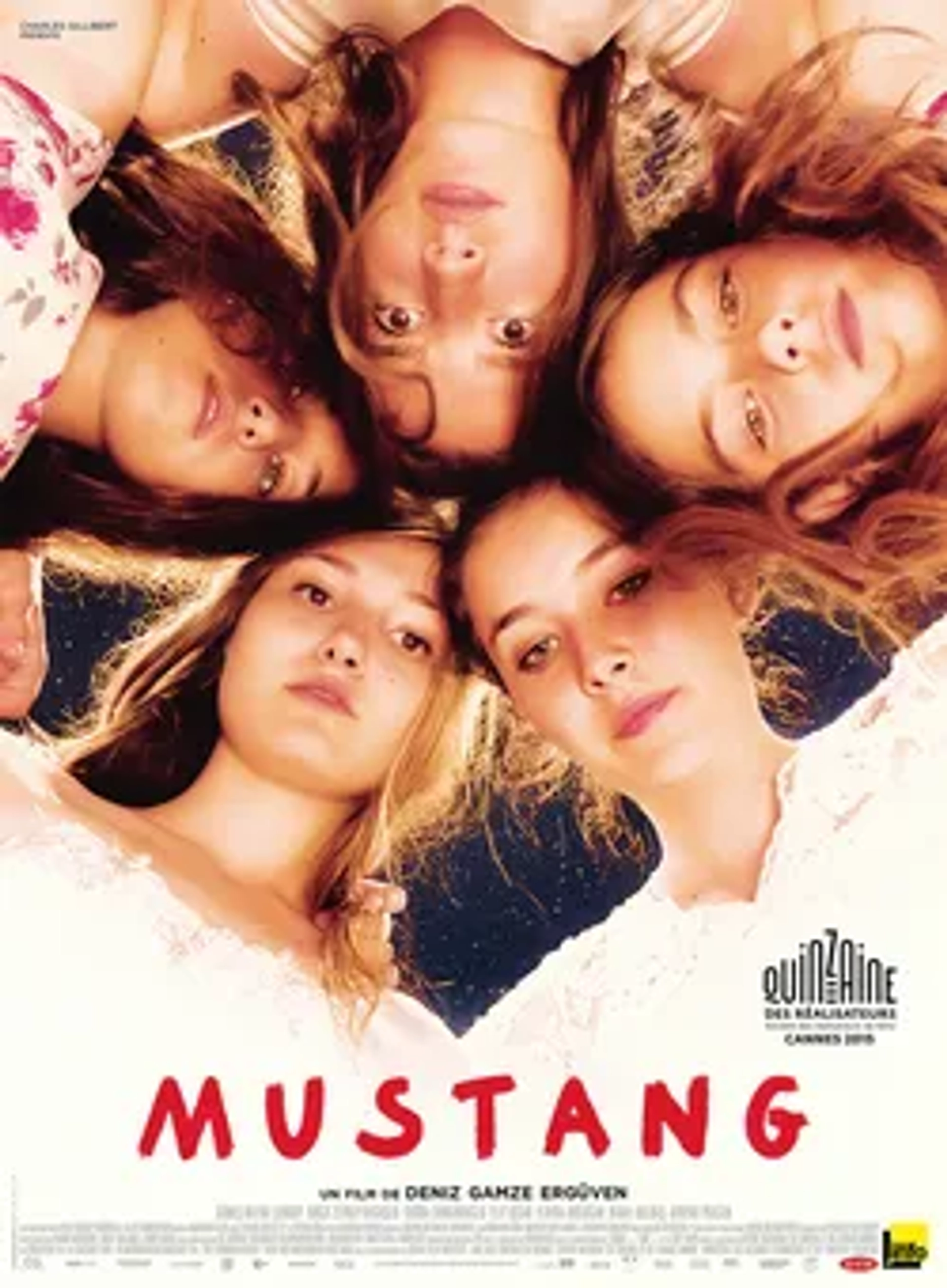 فیلم اسب وحشی