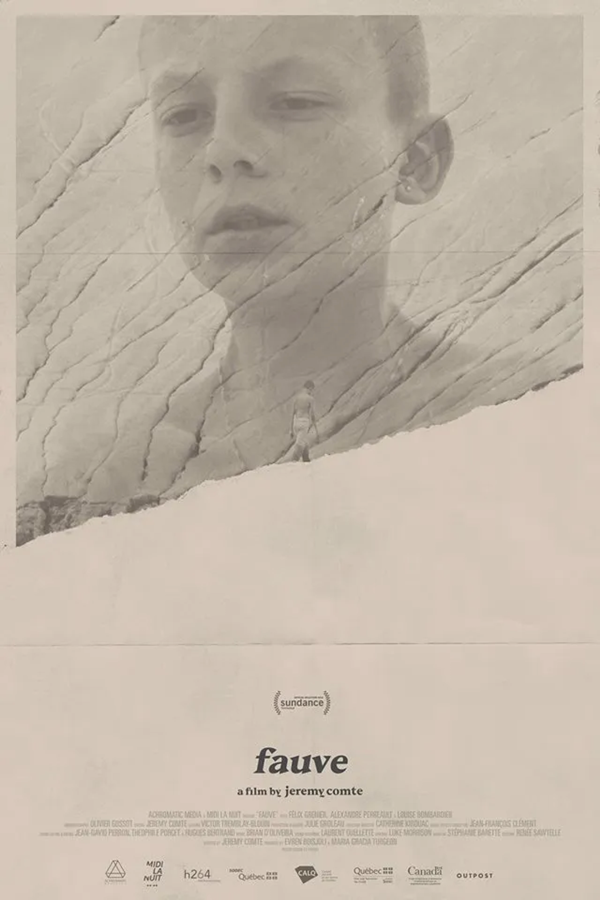 دانلود فیلم وحشی (Fauve 2018)