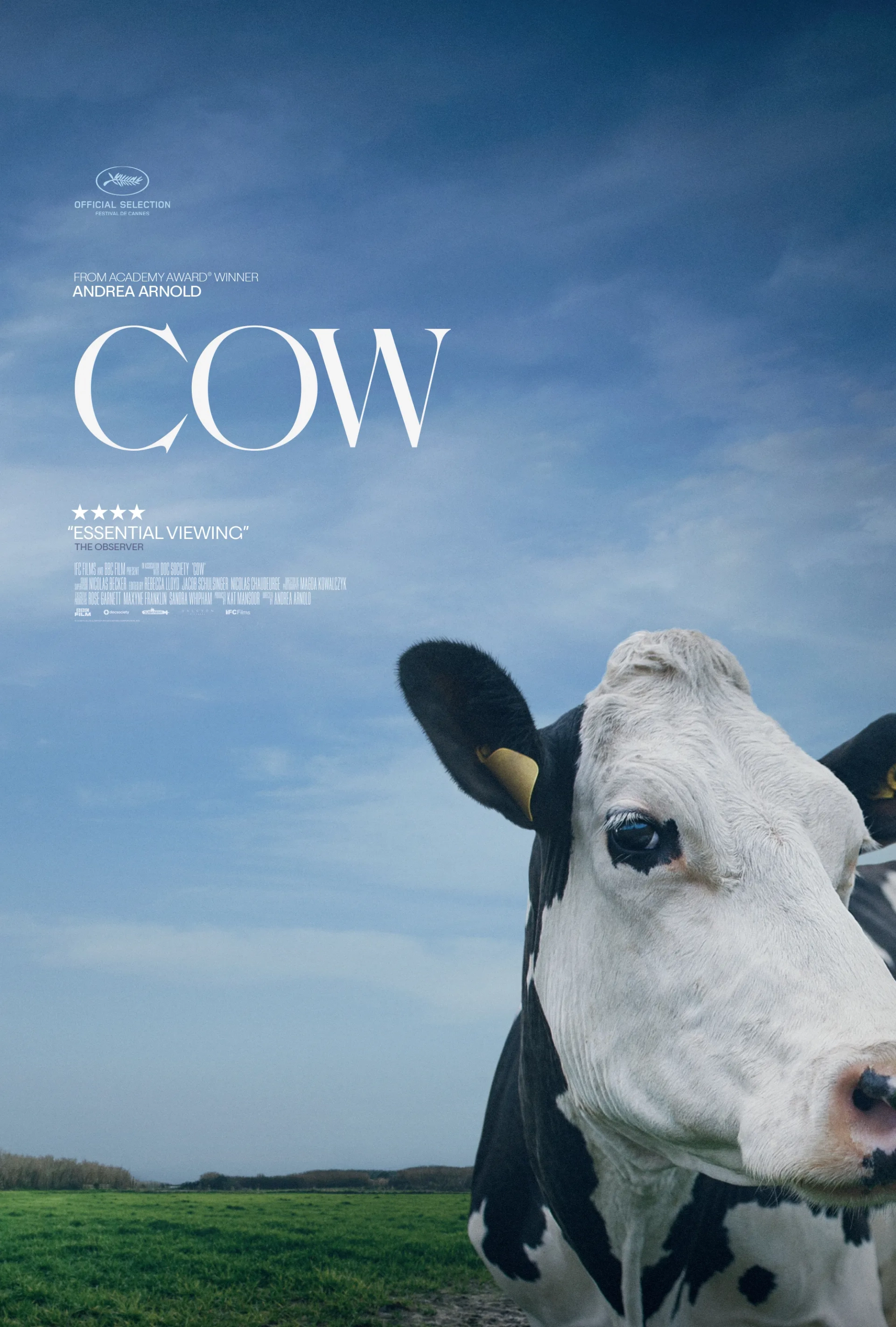 مستند گاو (Cow 2021)