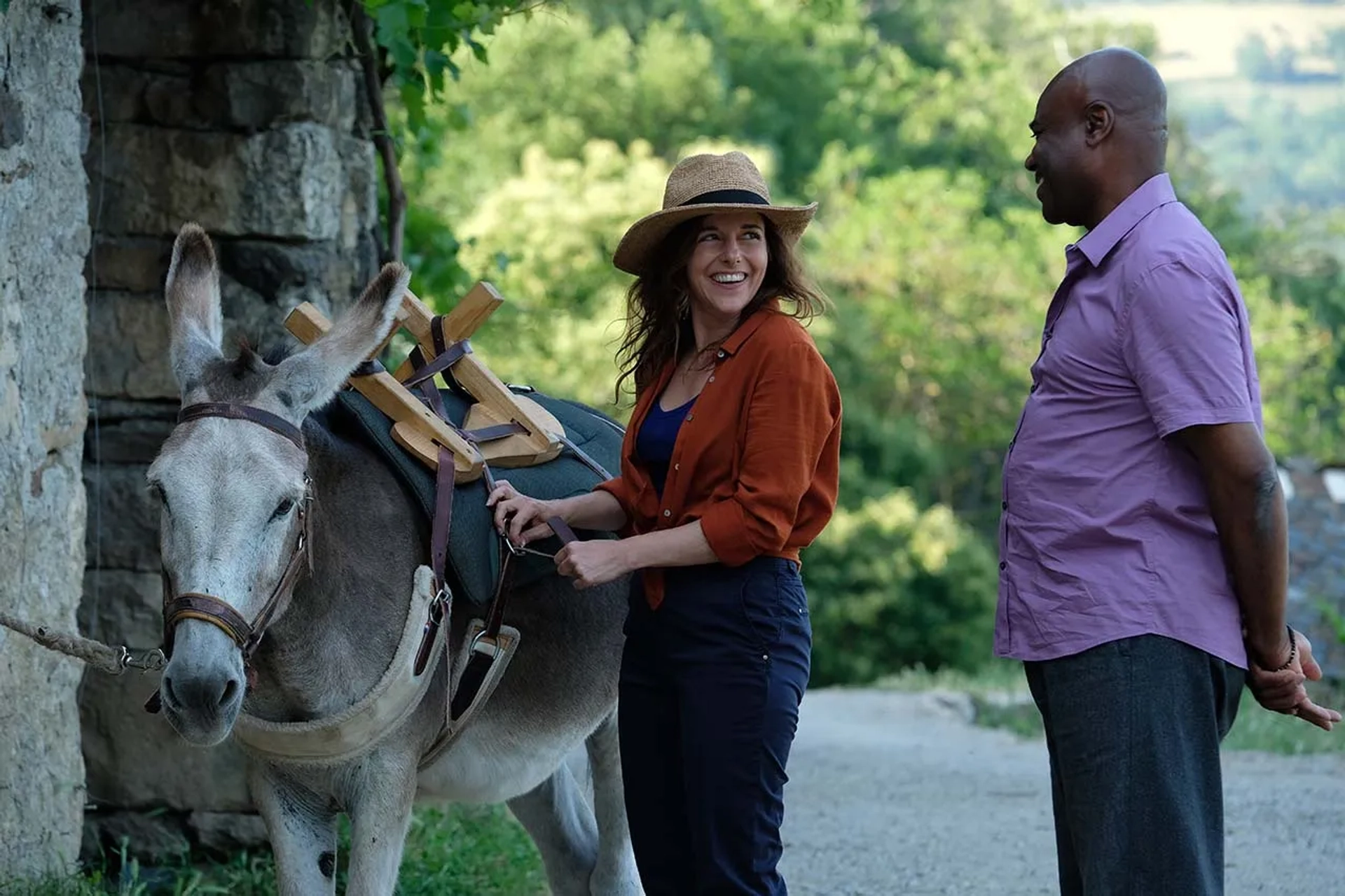 فیلم خر من، عاشق من و من (My Donkey, My Lover & I 2020)