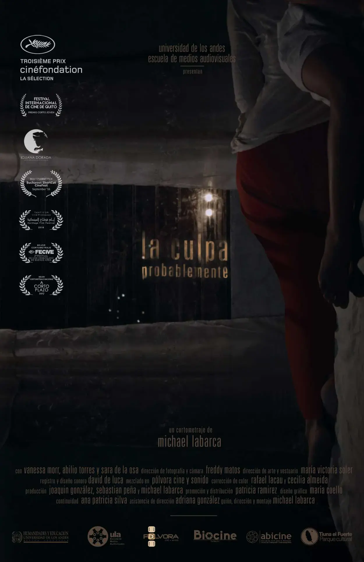 فیلم گناه، احتمالا (The Guilt, Probably 2016)