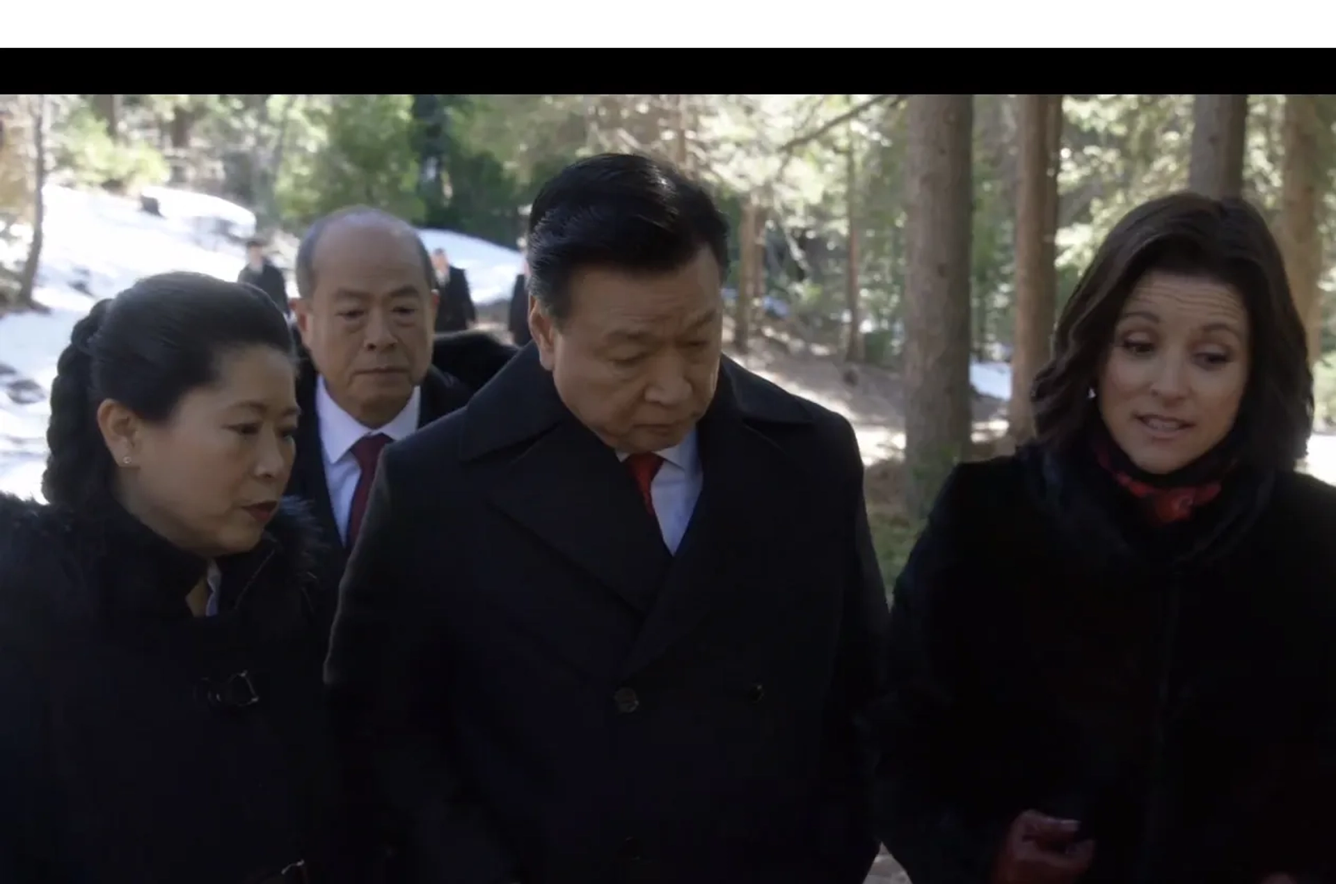 Julia Louis-Dreyfus, Tzi Ma, Raymond Ma, and Lee Chen in Veep (2012)