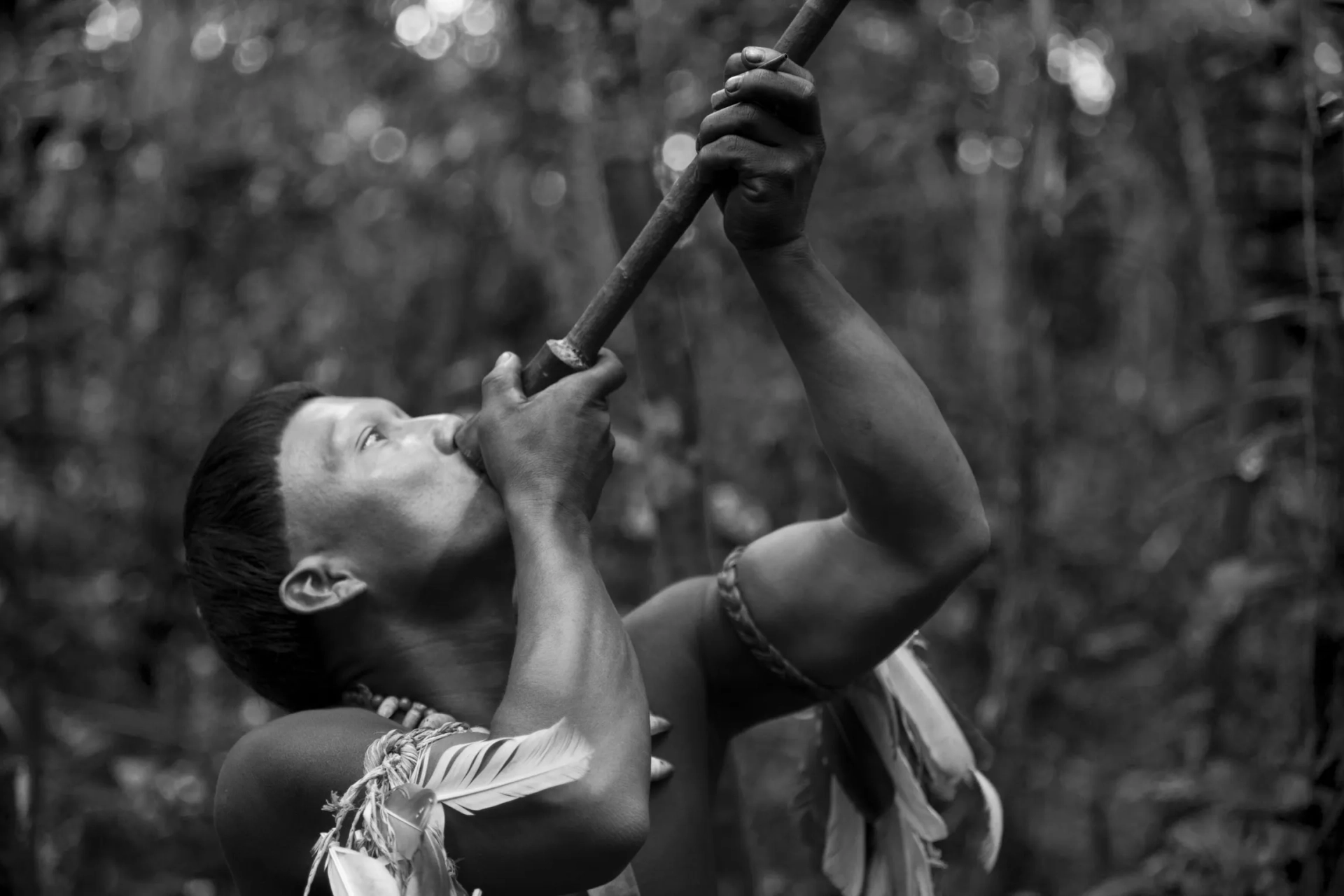 Antonio Bolívar in Embrace of the Serpent (2015)