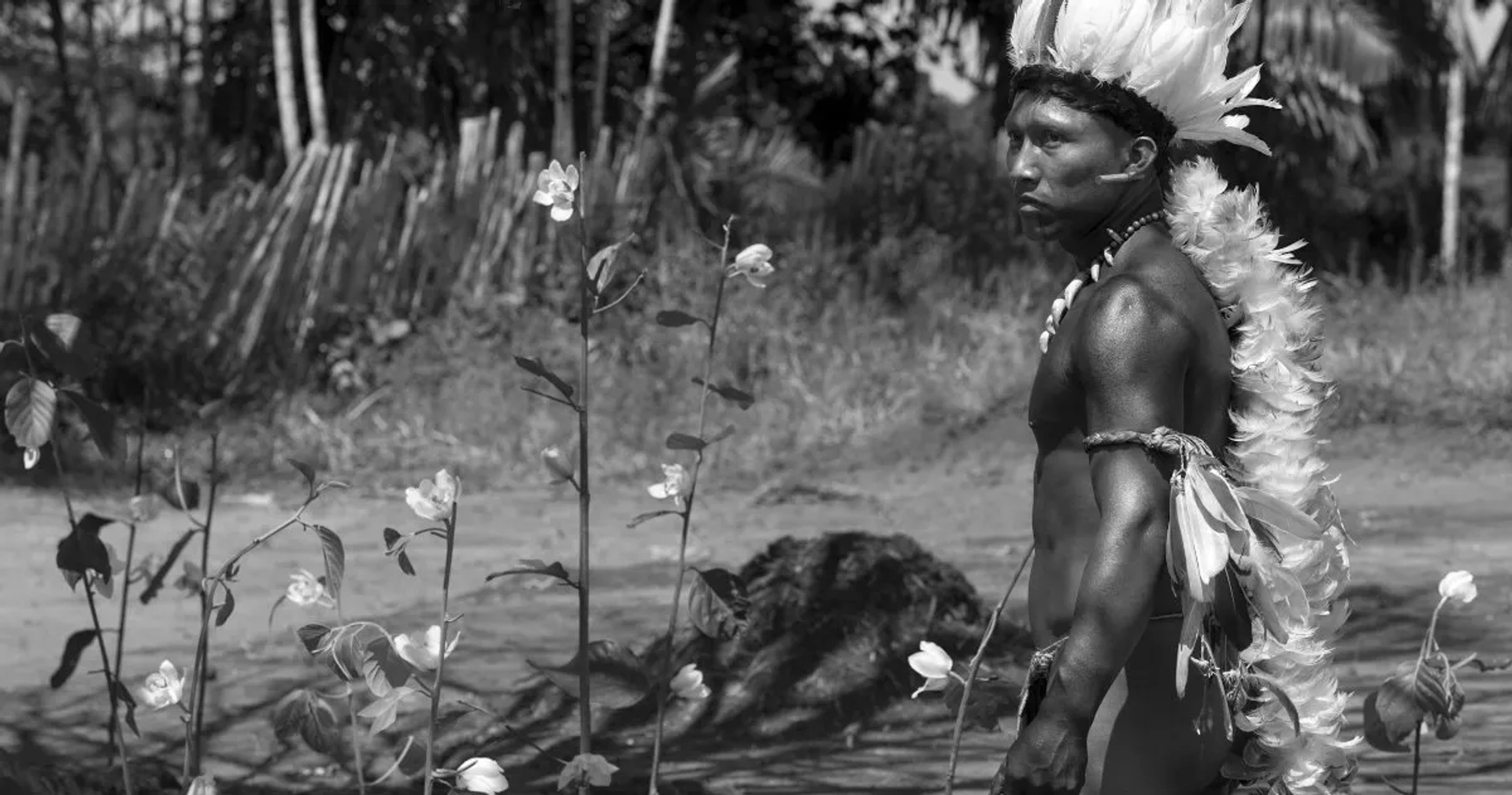 Nilbio Torres in Embrace of the Serpent (2015)