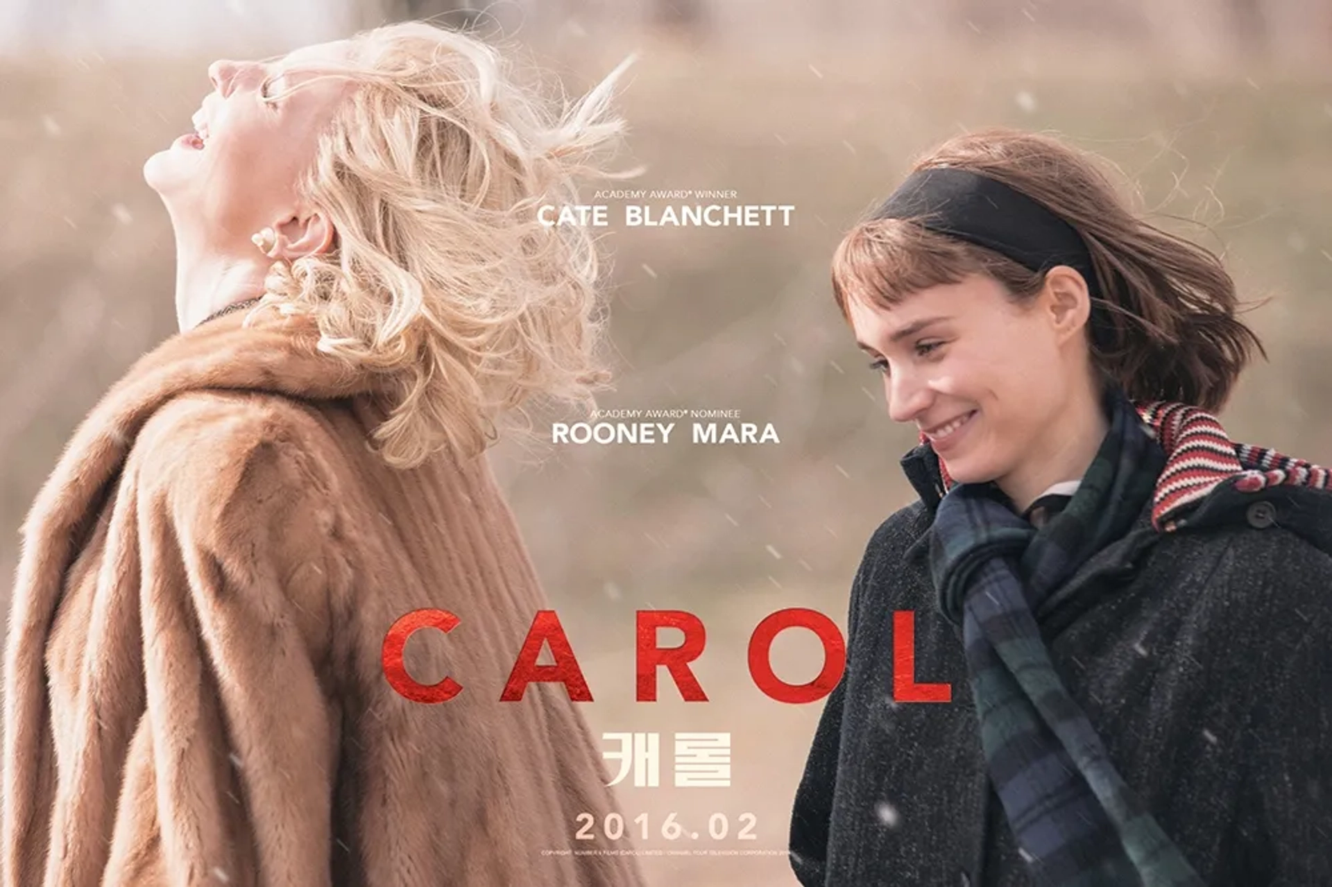 Cate Blanchett and Rooney Mara in Carol (2015)