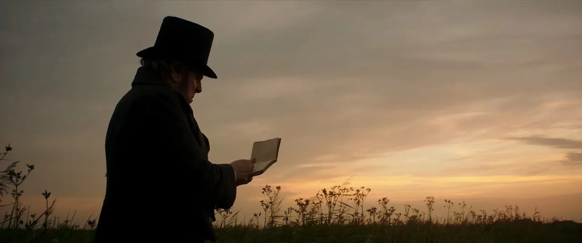 Timothy Spall in Mr. Turner (2014)