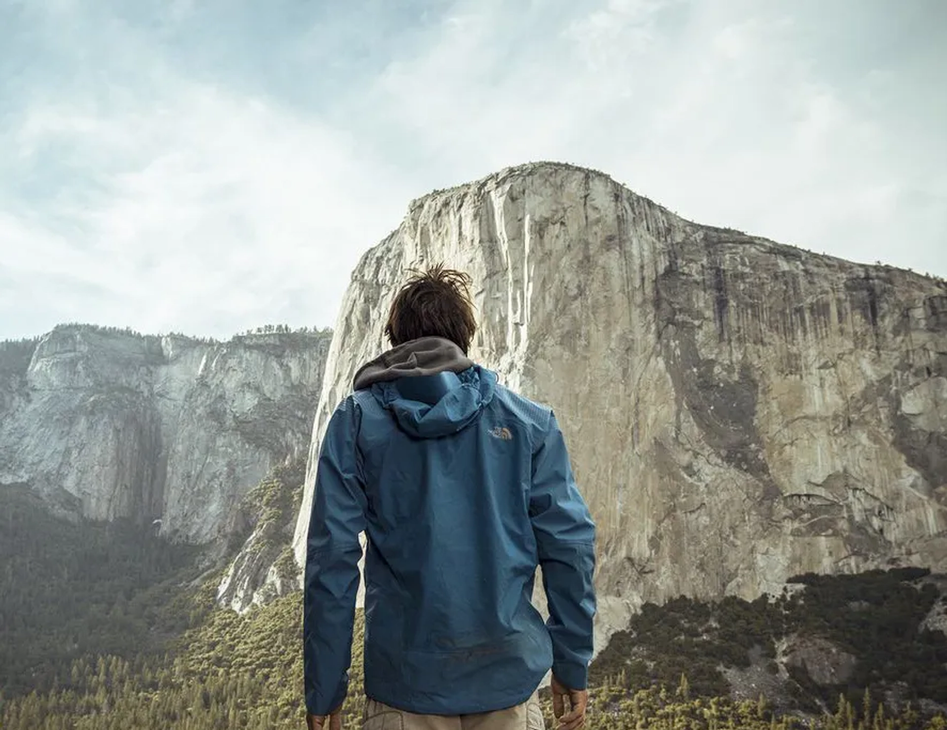 Alex Honnold in Free Solo (2018)