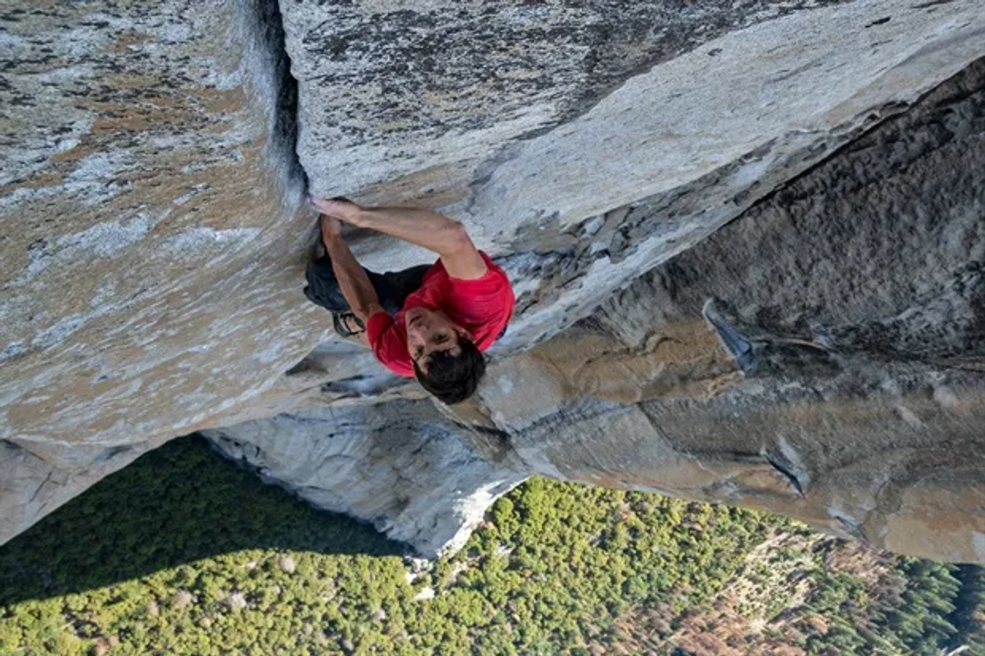 Alex Honnold in Free Solo (2018)