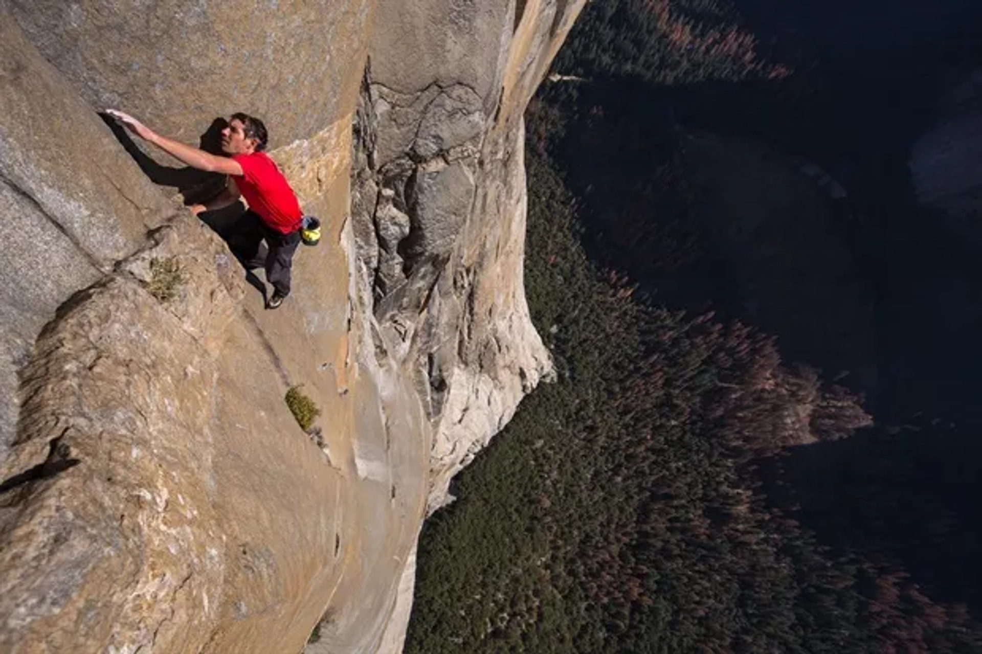 Alex Honnold in Free Solo (2018)