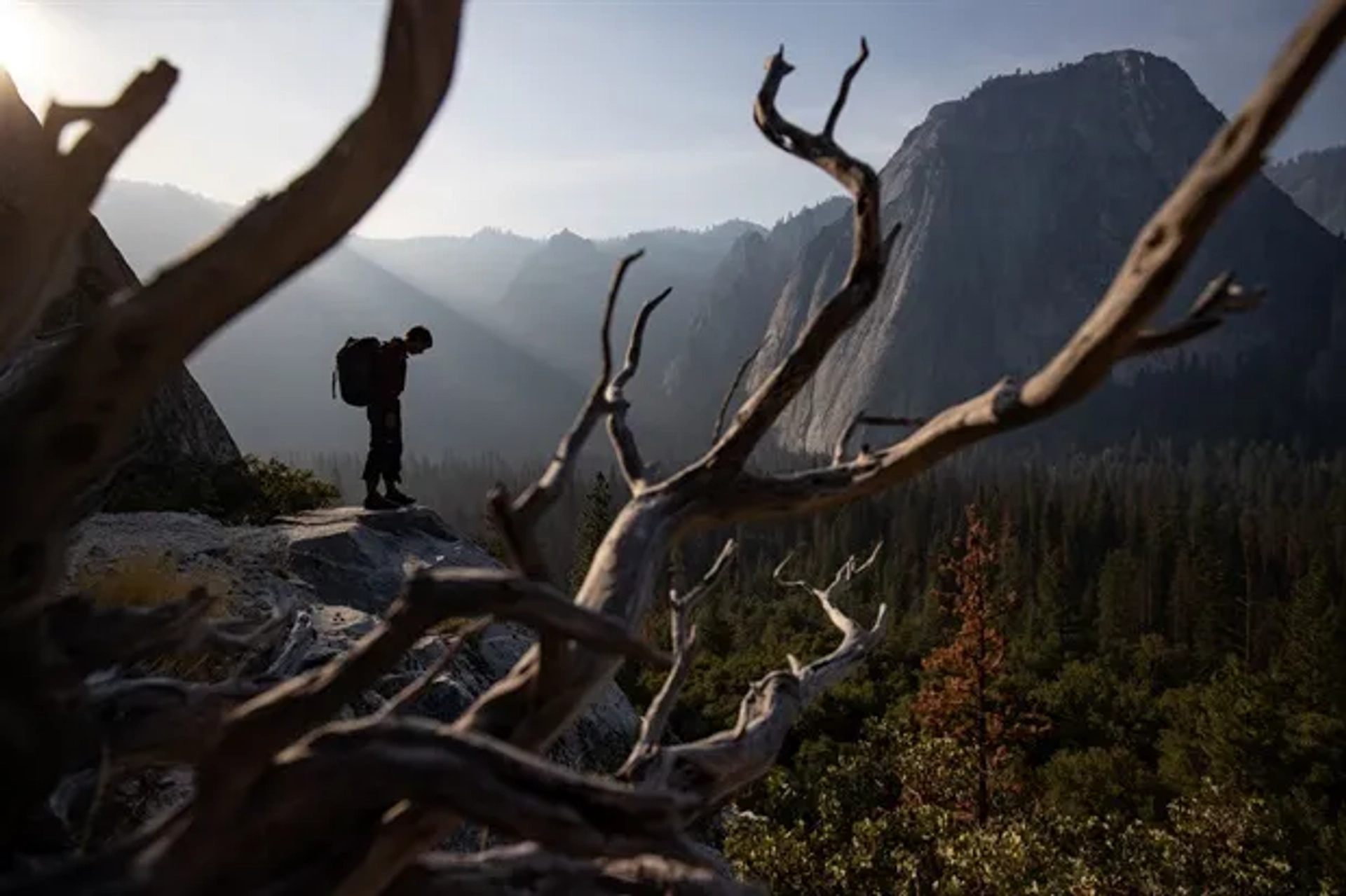 Alex Honnold in Free Solo (2018)