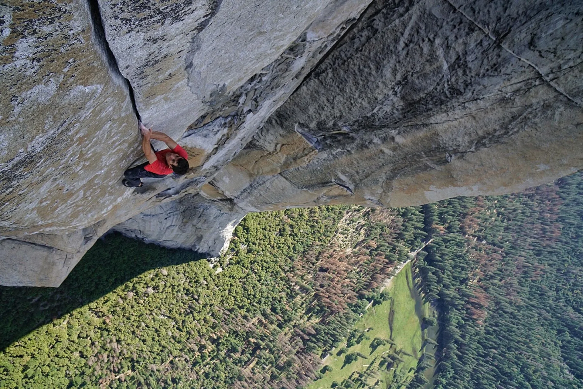 Alex Honnold in Free Solo (2018)