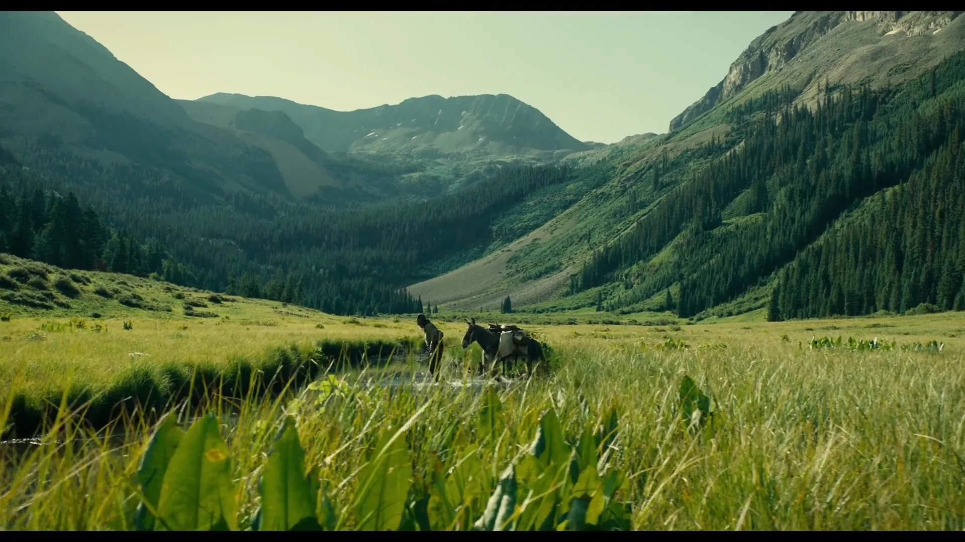 Tom Waits in The Ballad of Buster Scruggs (2018)