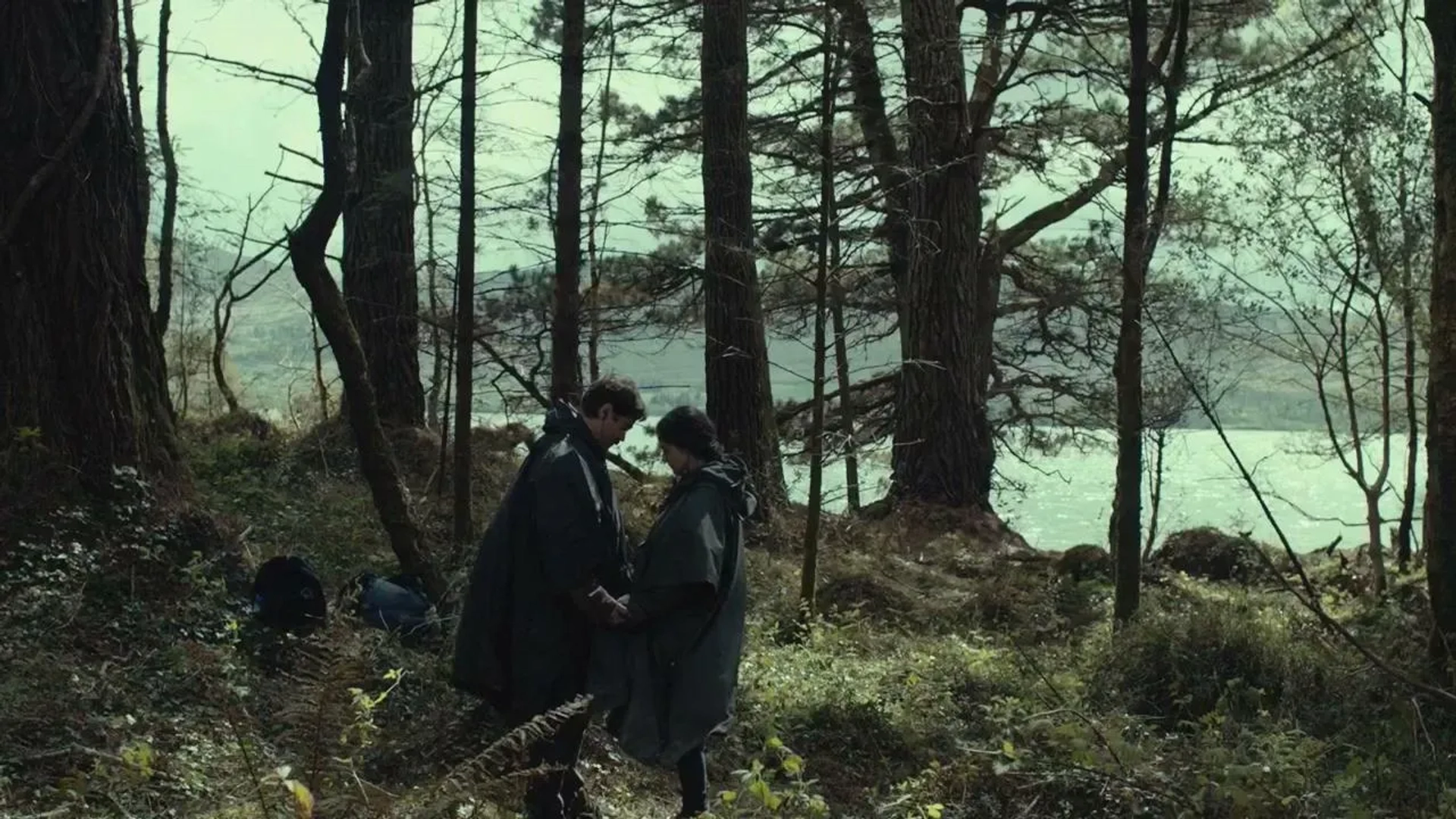 Rachel Weisz and Colin Farrell in The Lobster (2015)