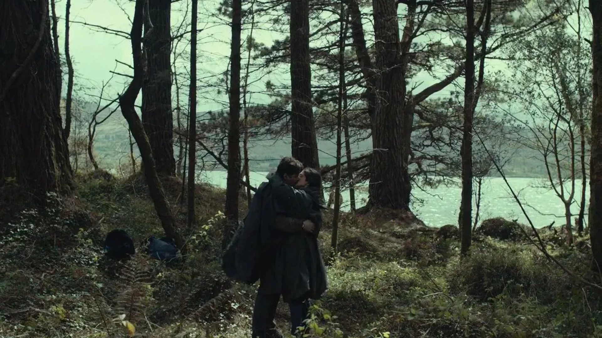 Rachel Weisz and Colin Farrell in The Lobster (2015)