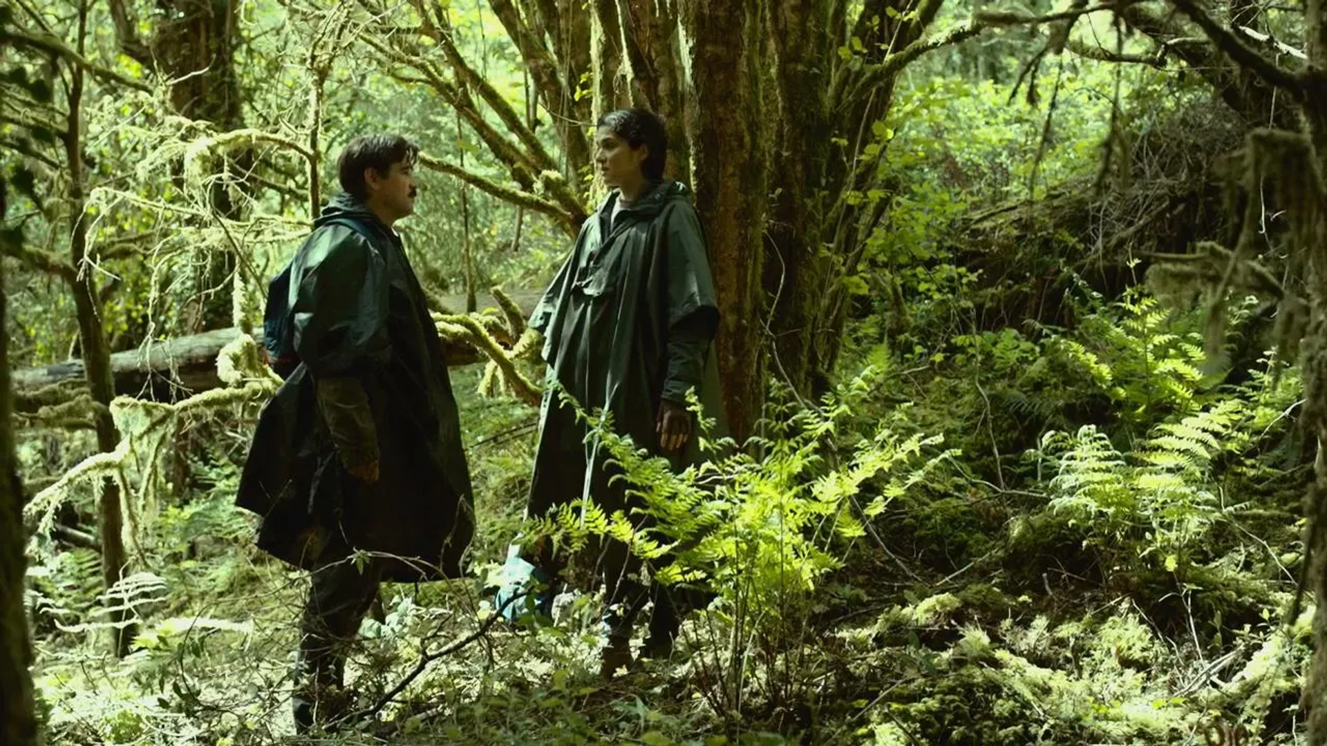 Rachel Weisz and Colin Farrell in The Lobster (2015)