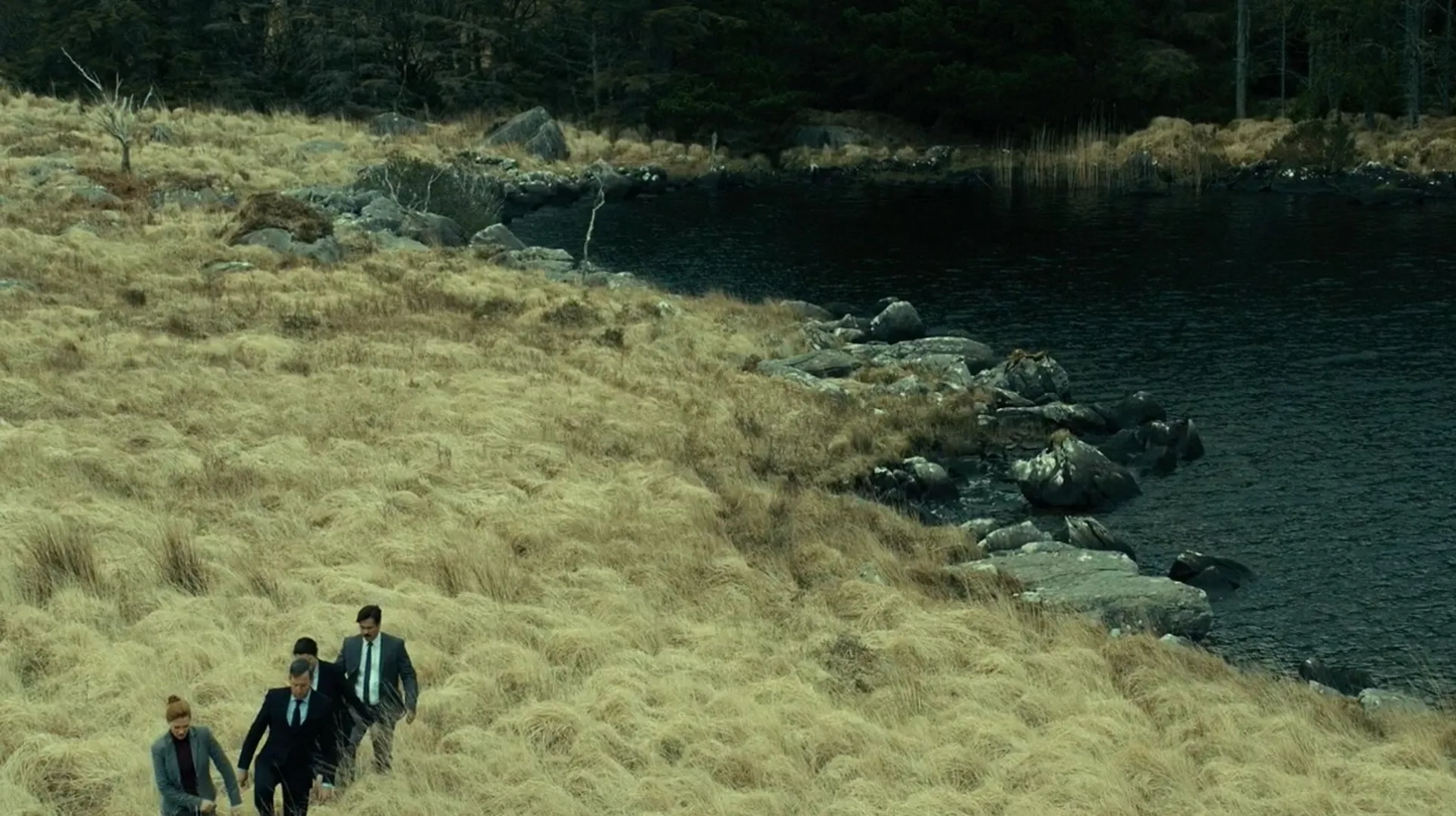 Rachel Weisz, Colin Farrell, Michael Smiley, and Léa Seydoux in The Lobster (2015)