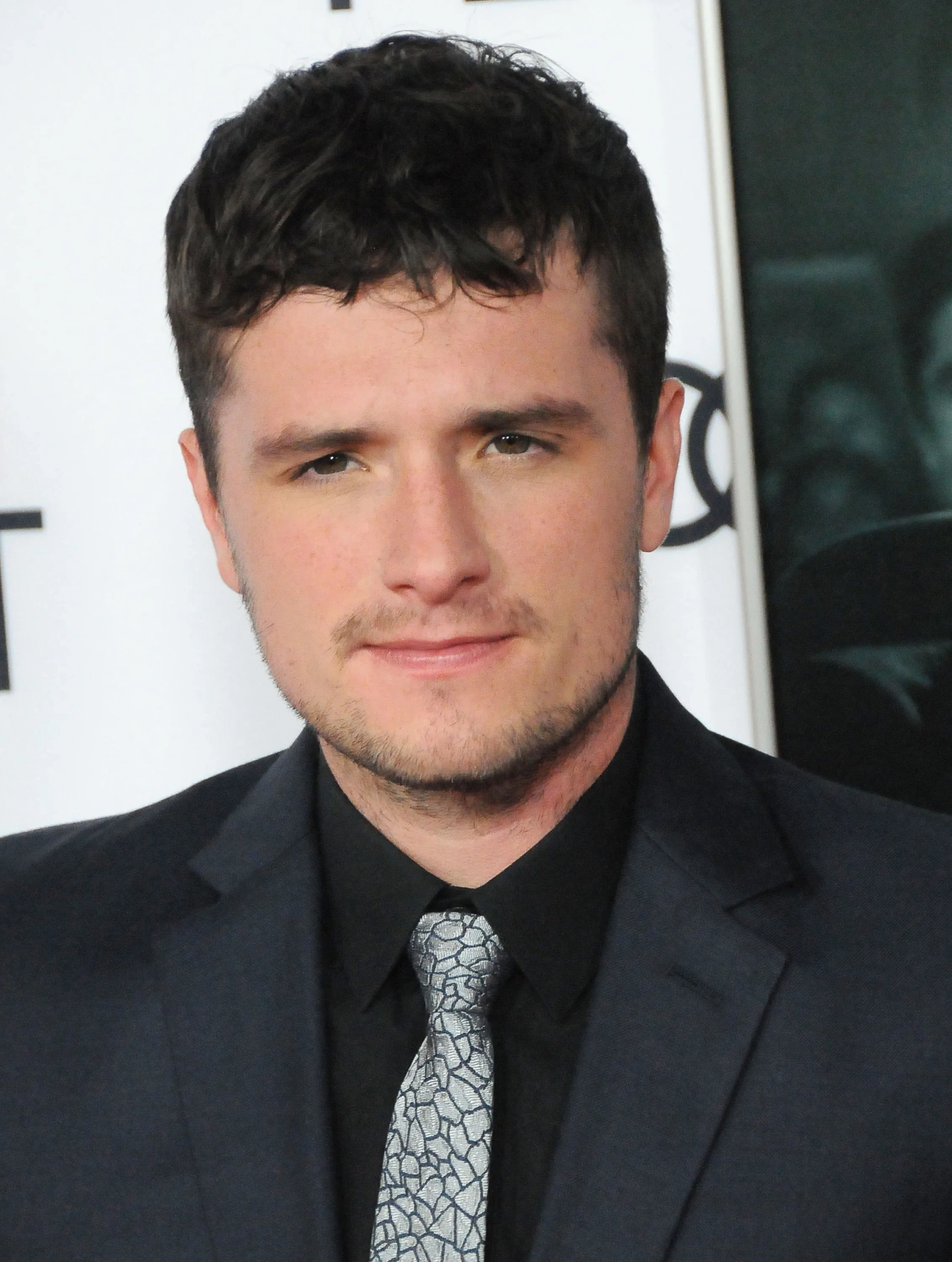 Josh Hutcherson at an event for The Disaster Artist (2017)