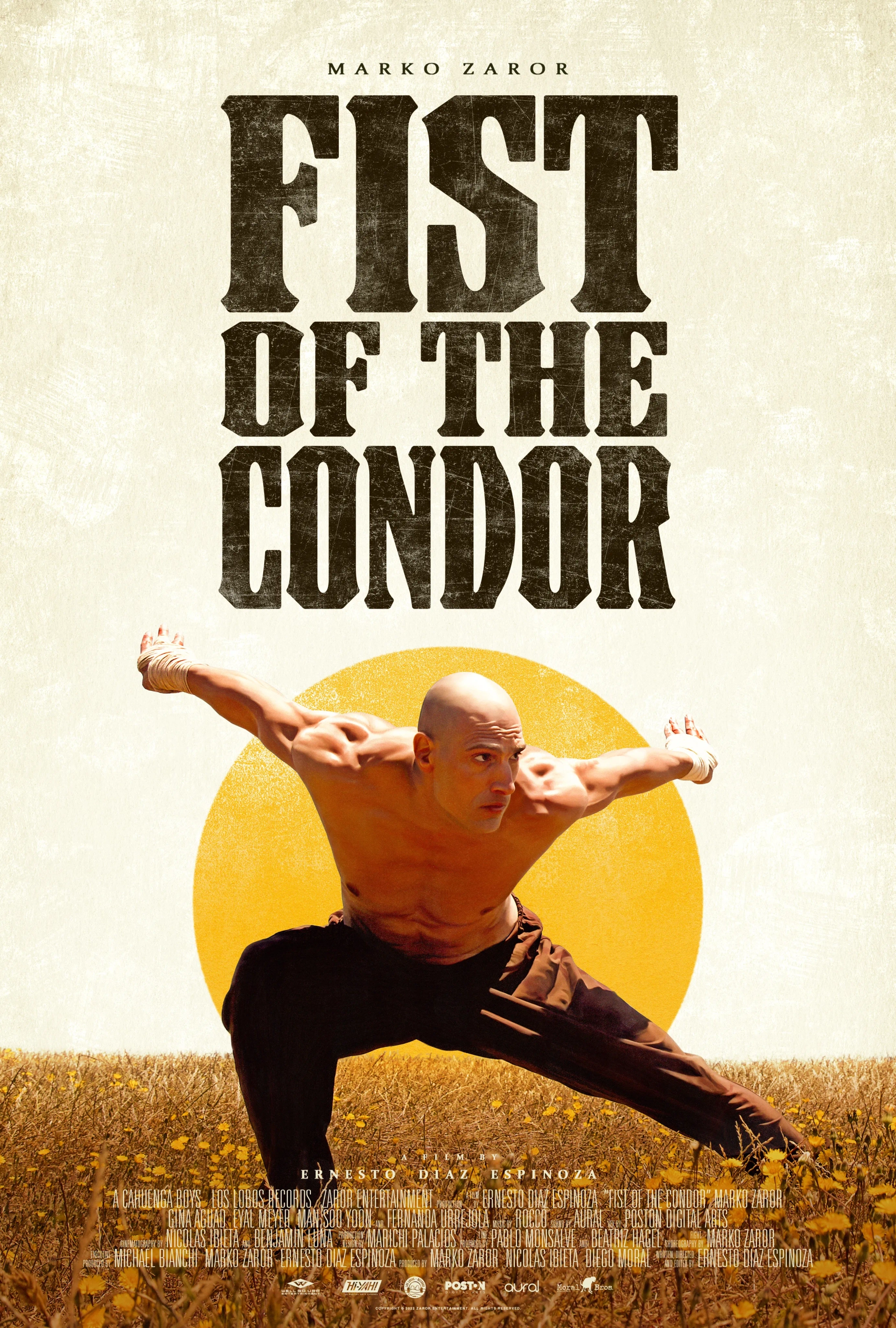 فیلم مشت کندور (The Fist of the Condor 2023)