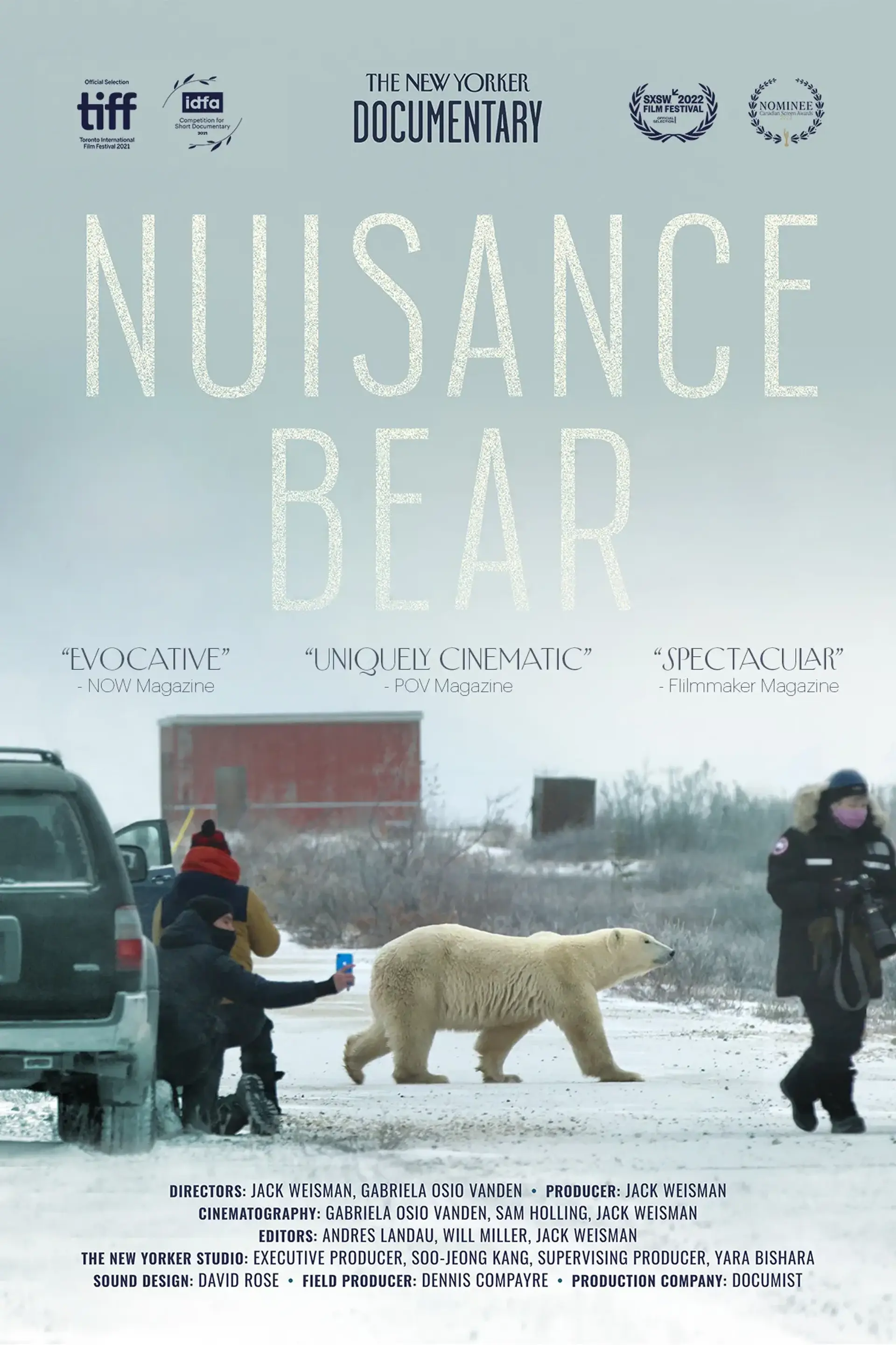 مستند خرس مزاحم (Nuisance Bear 2021)