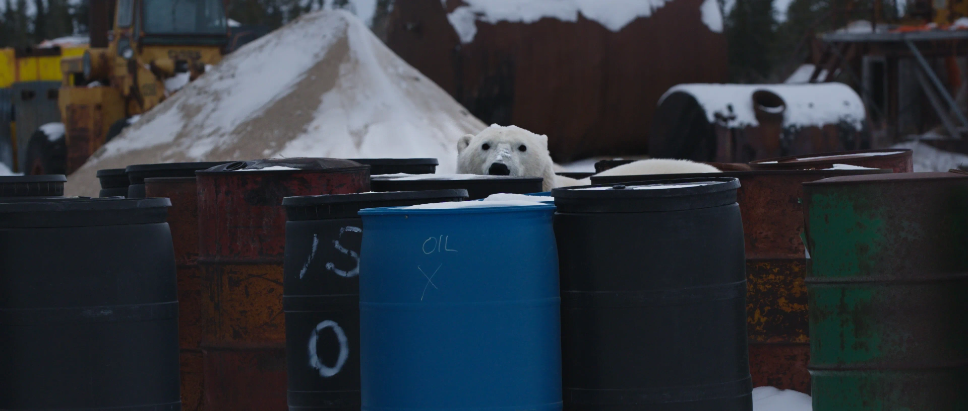 مستند خرس مزاحم (Nuisance Bear 2021)