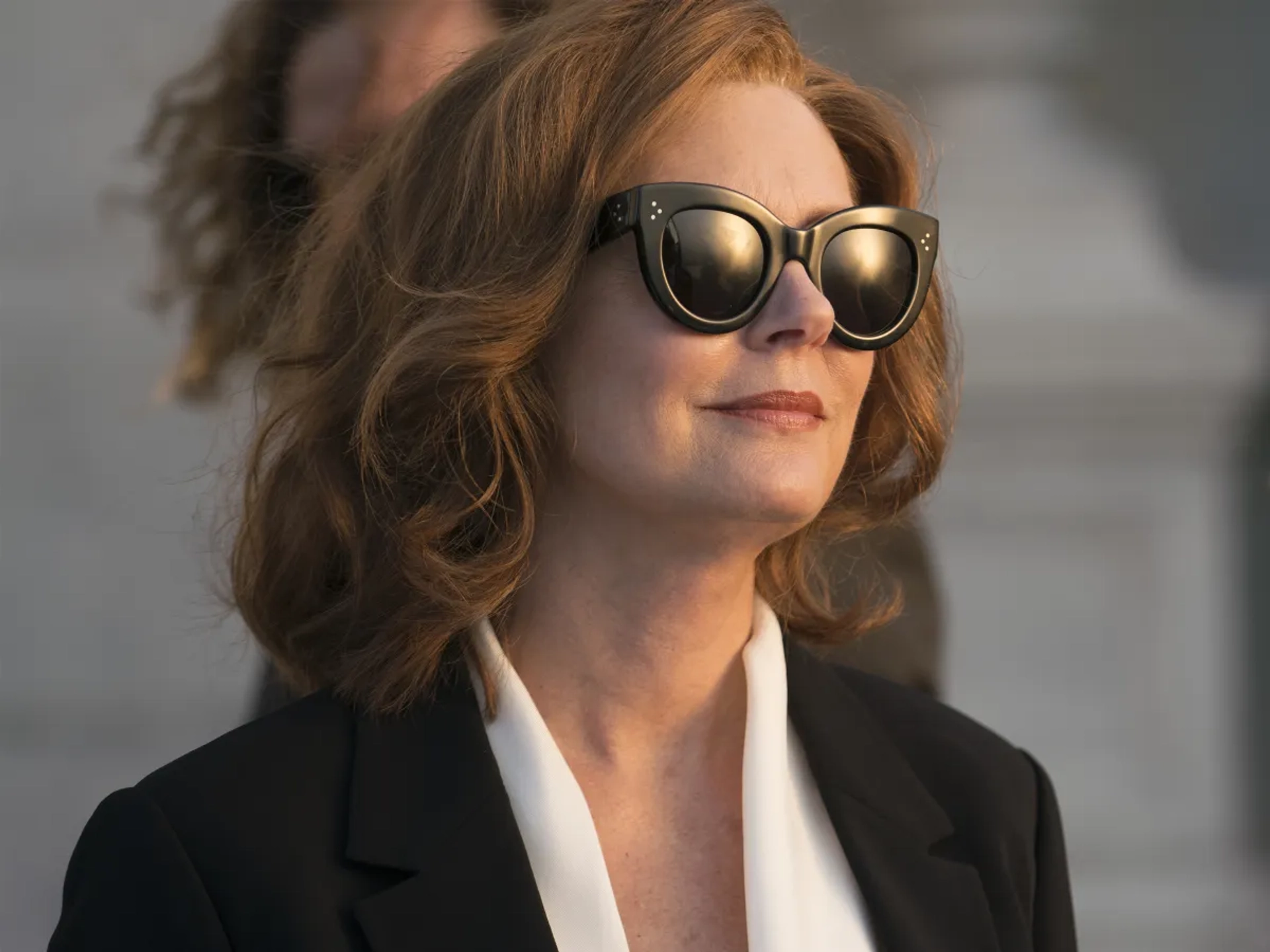 Susan Sarandon in Ray Donovan (2013)