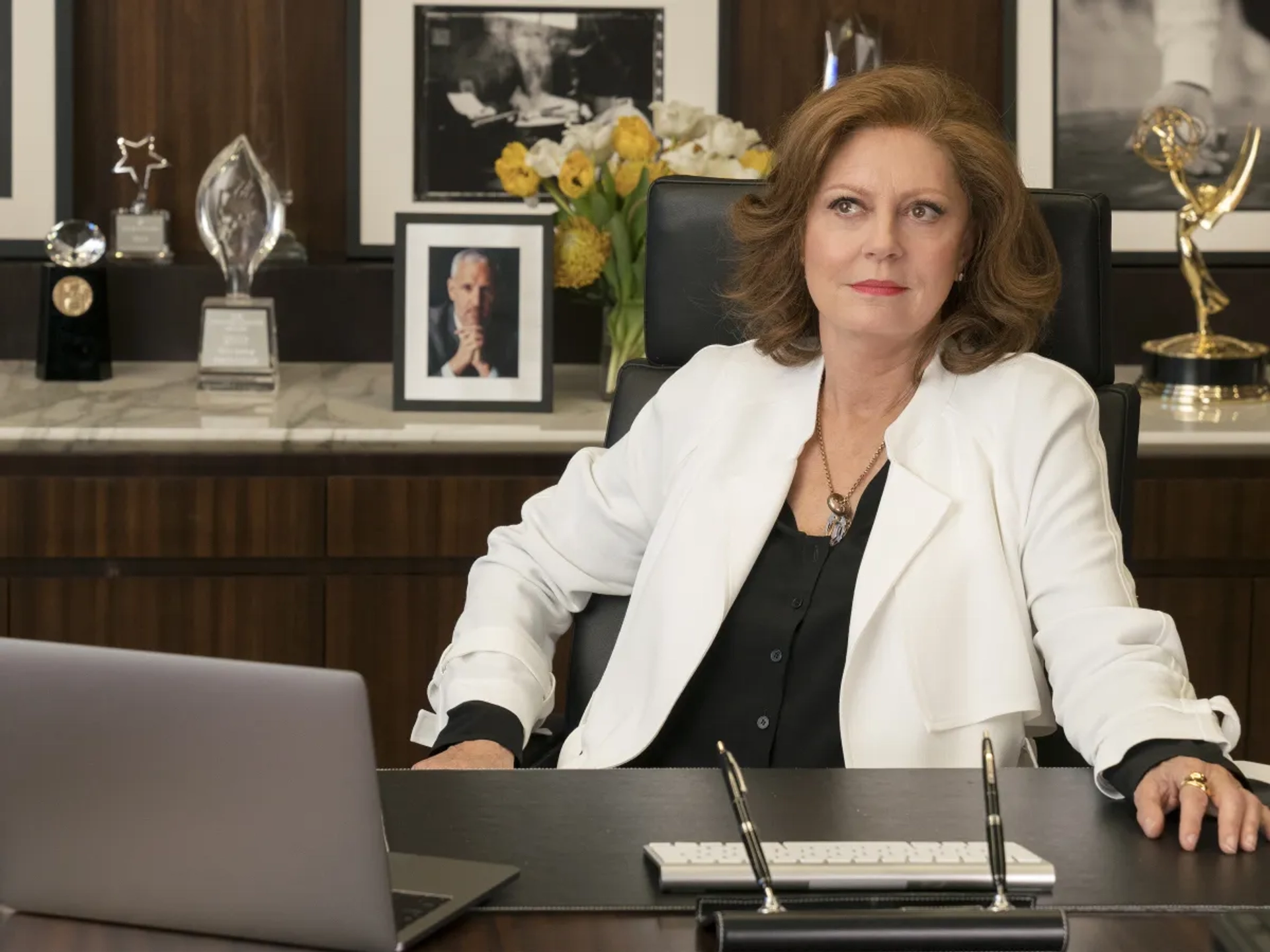 Susan Sarandon in Ray Donovan (2013)