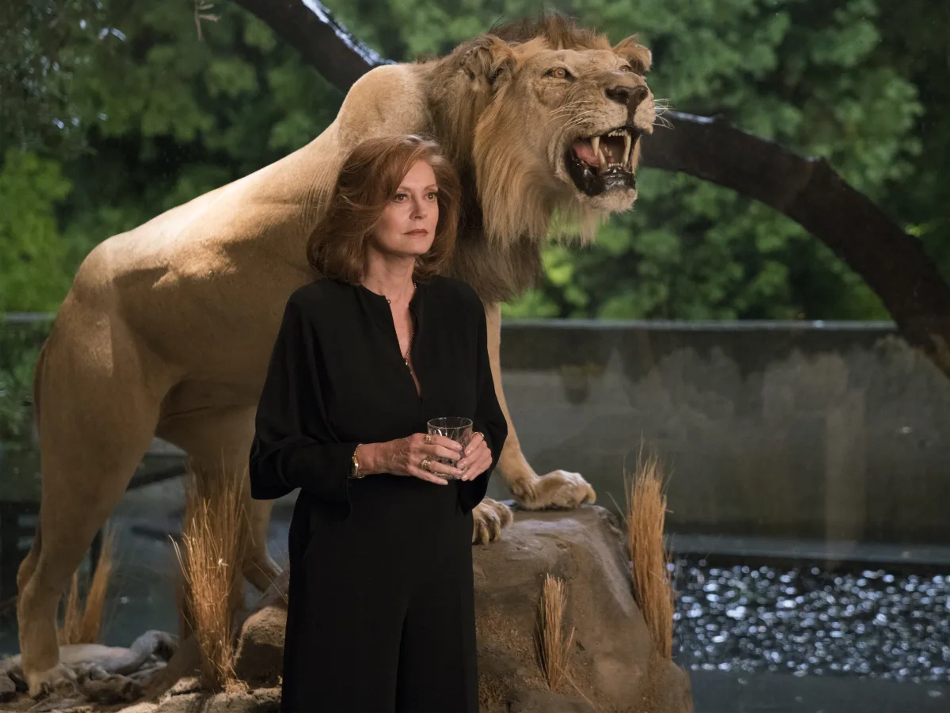 Susan Sarandon in Ray Donovan (2013)