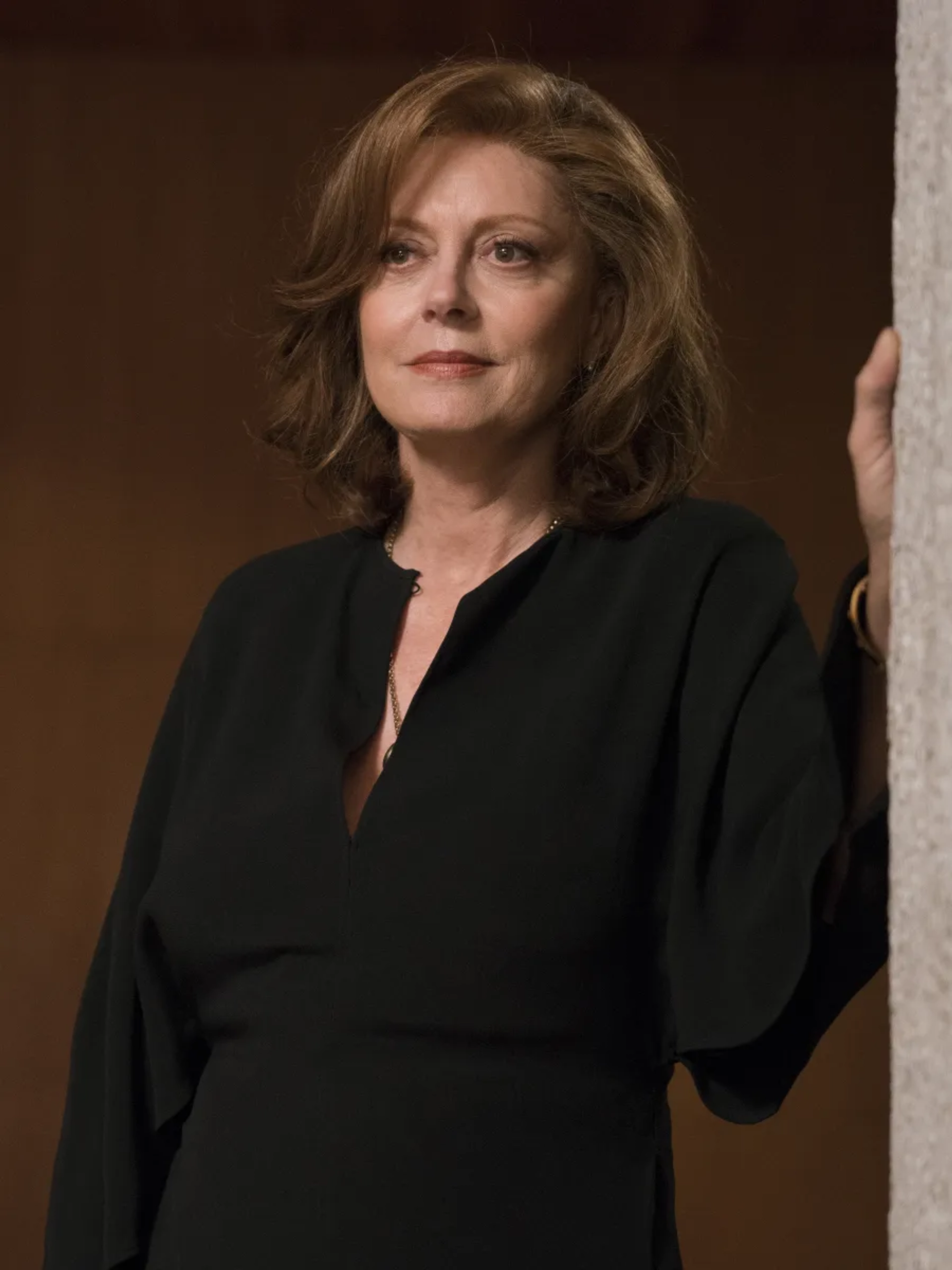 Susan Sarandon in Ray Donovan (2013)