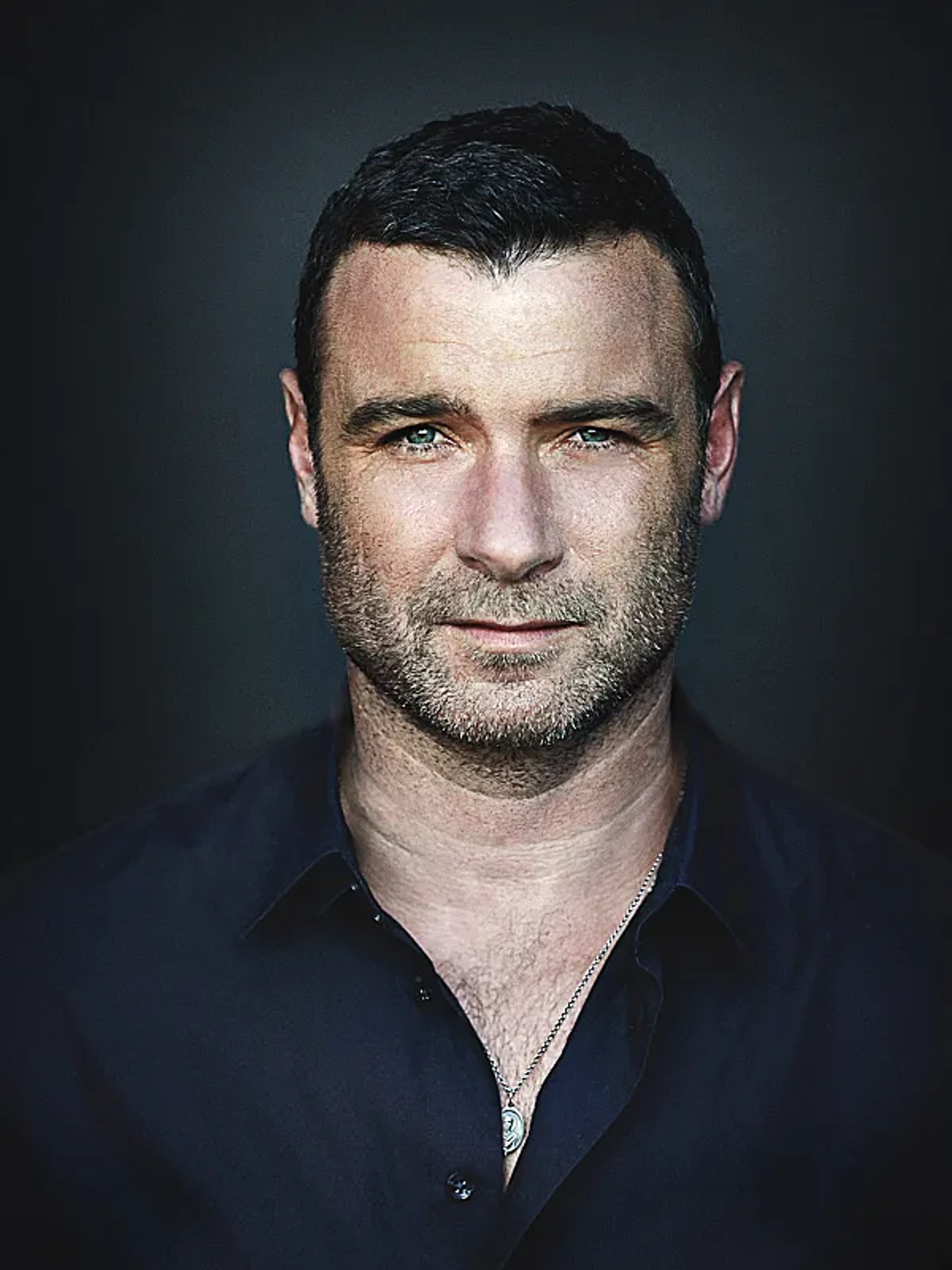 Liev Schreiber in Ray Donovan (2013)